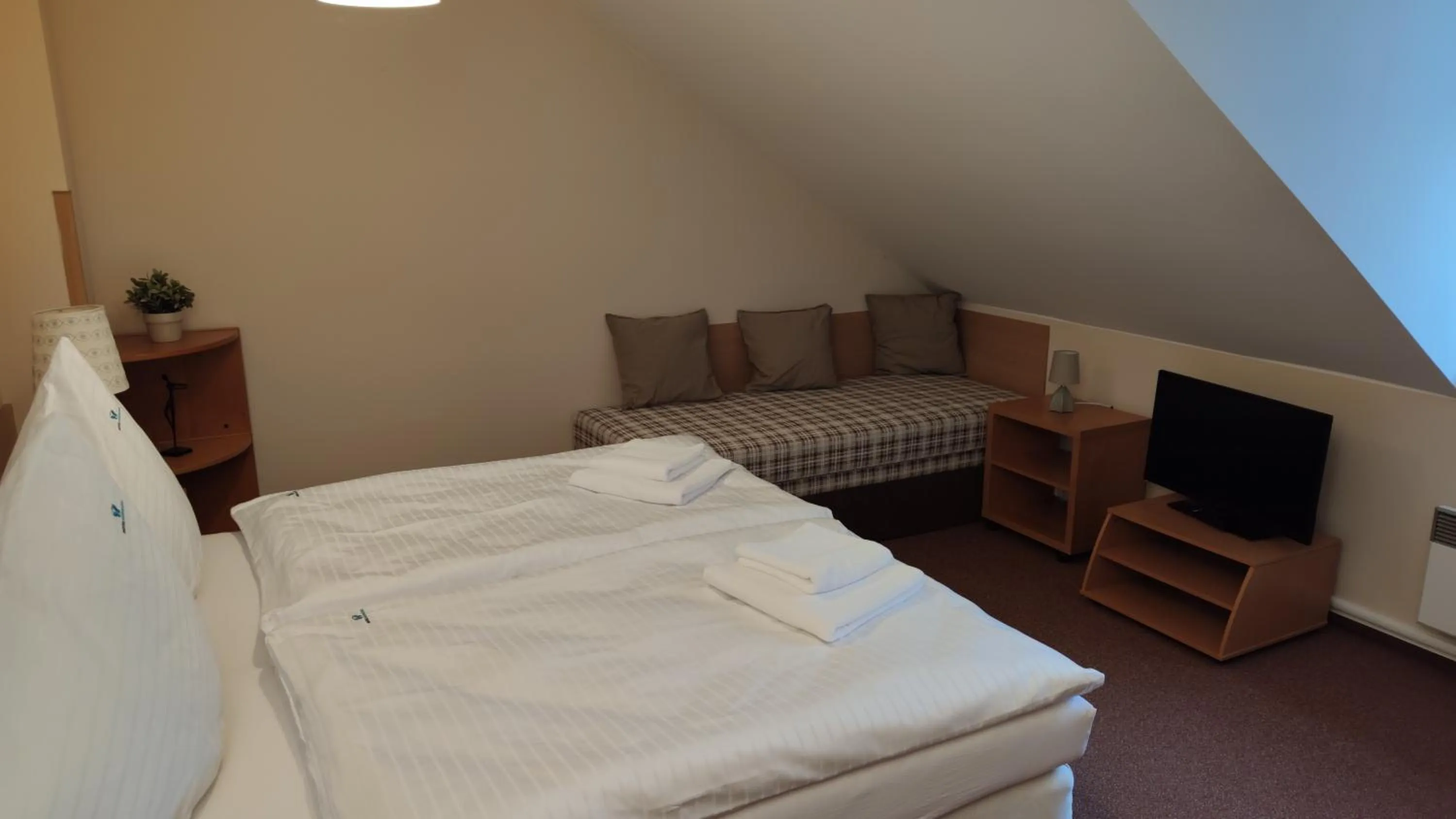 Bed in Hotel Modrásek