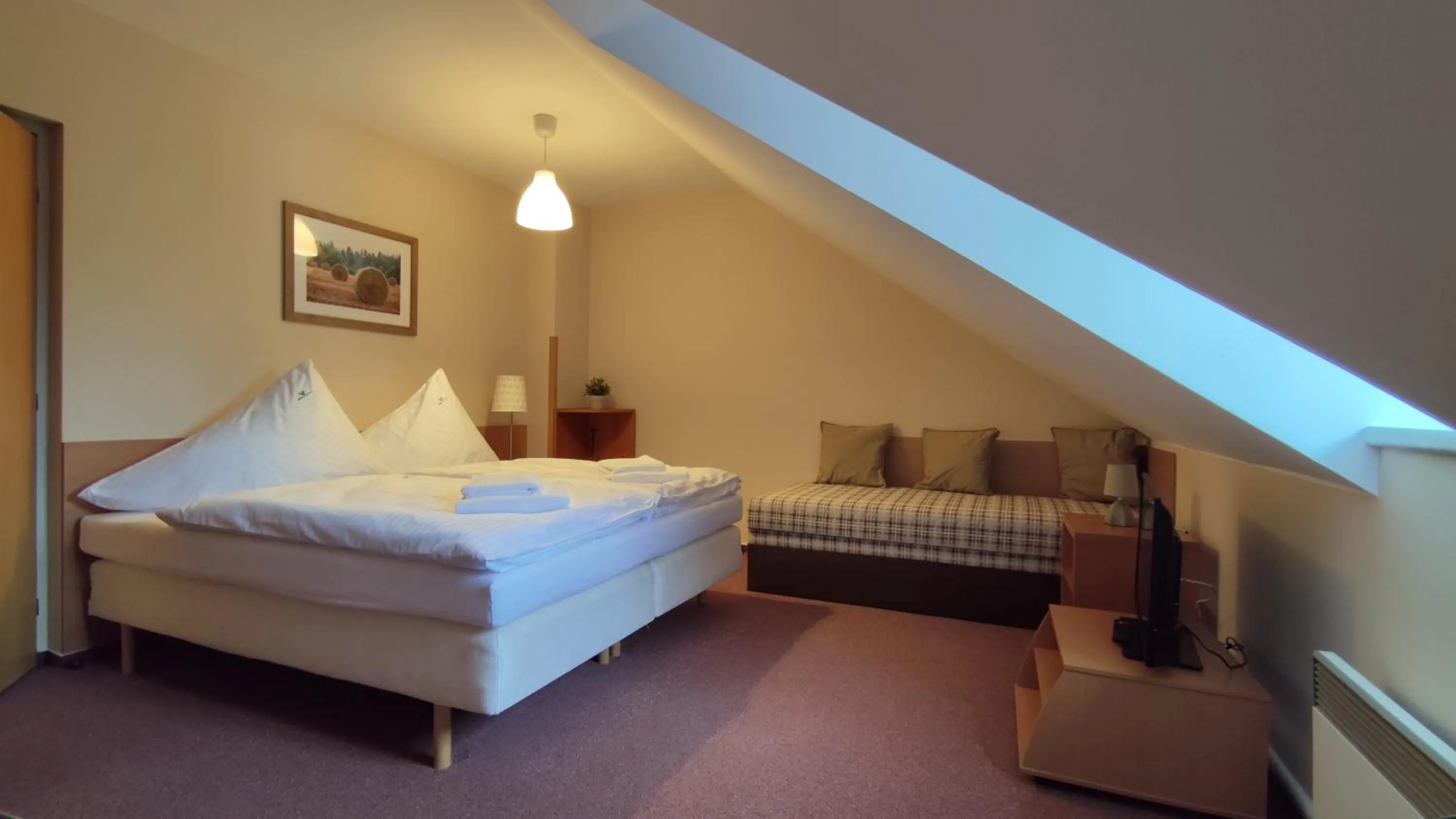 Bed in Hotel Modrásek