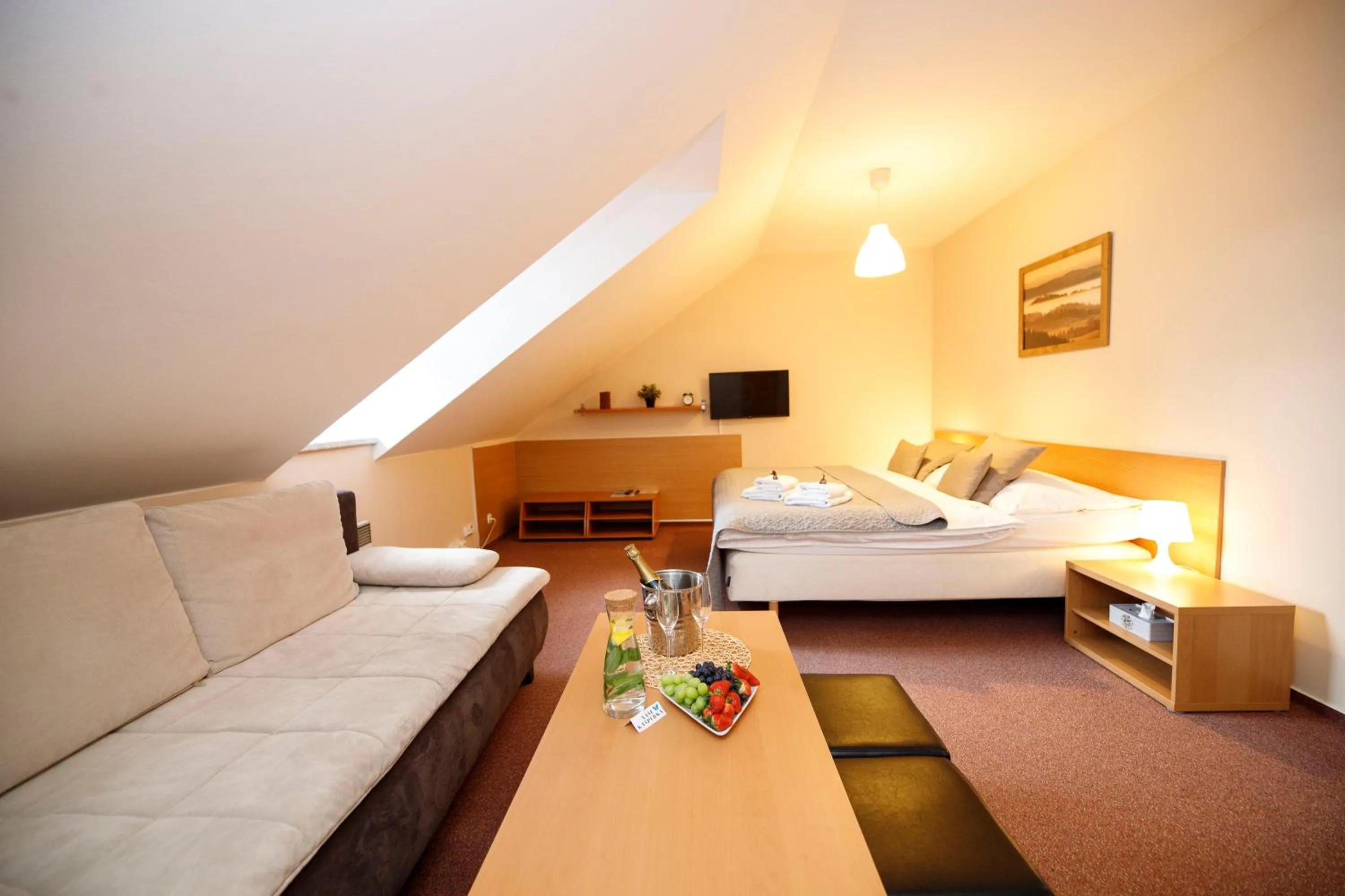 Bed in Hotel Modrásek