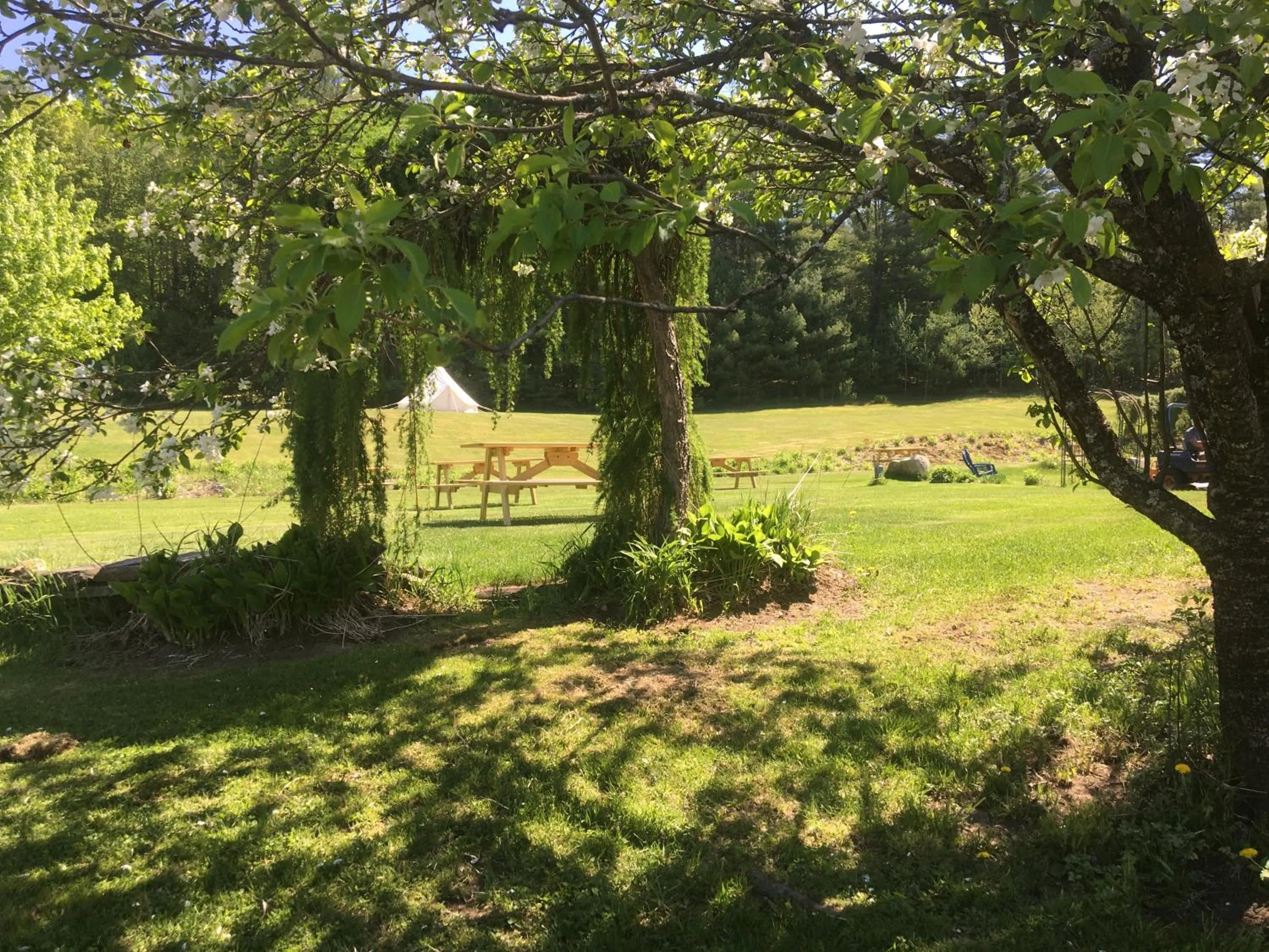 Garden in Craftsbury Farmhouse