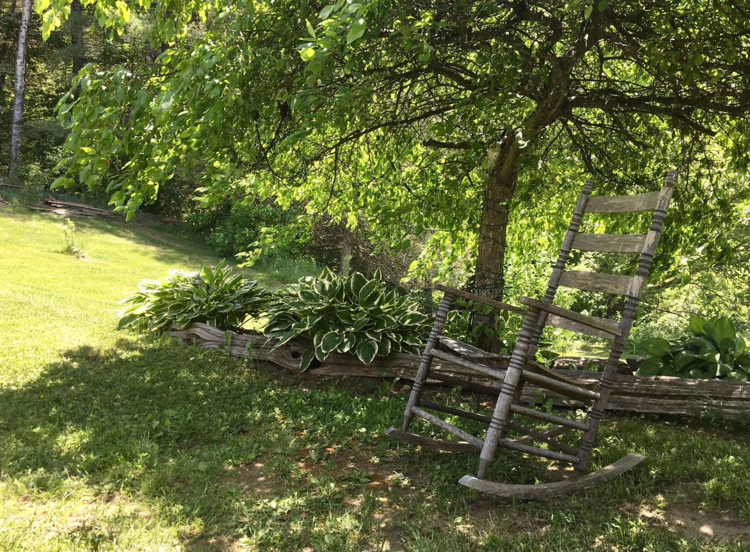 Garden in Craftsbury Farmhouse