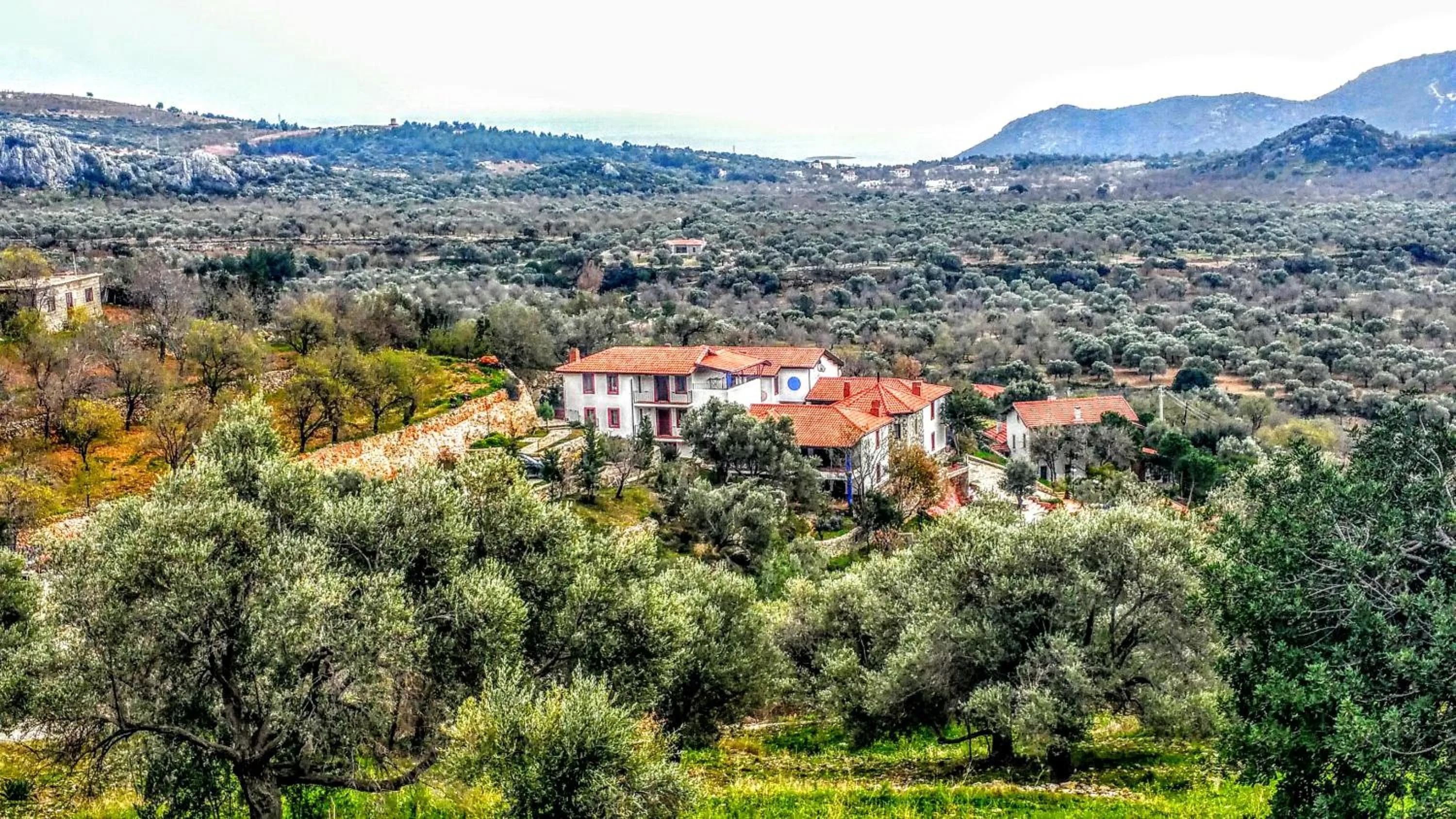 Garden view in Şato Triopia Butik Otel