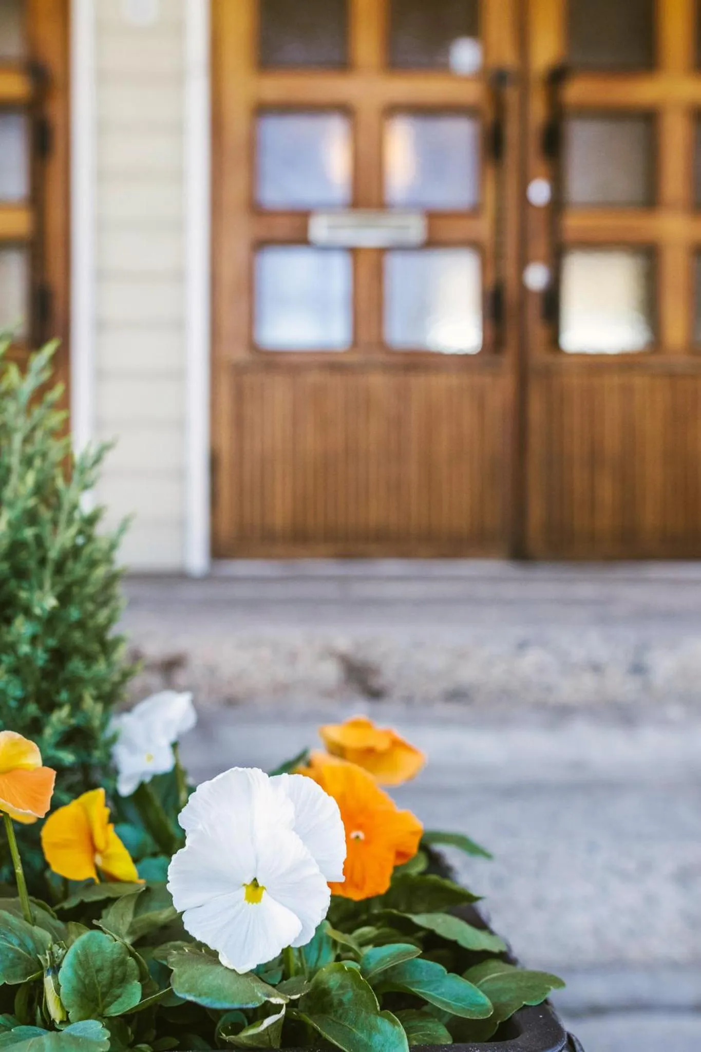 Facade/entrance in Saarijärven Ruustinna Oy
