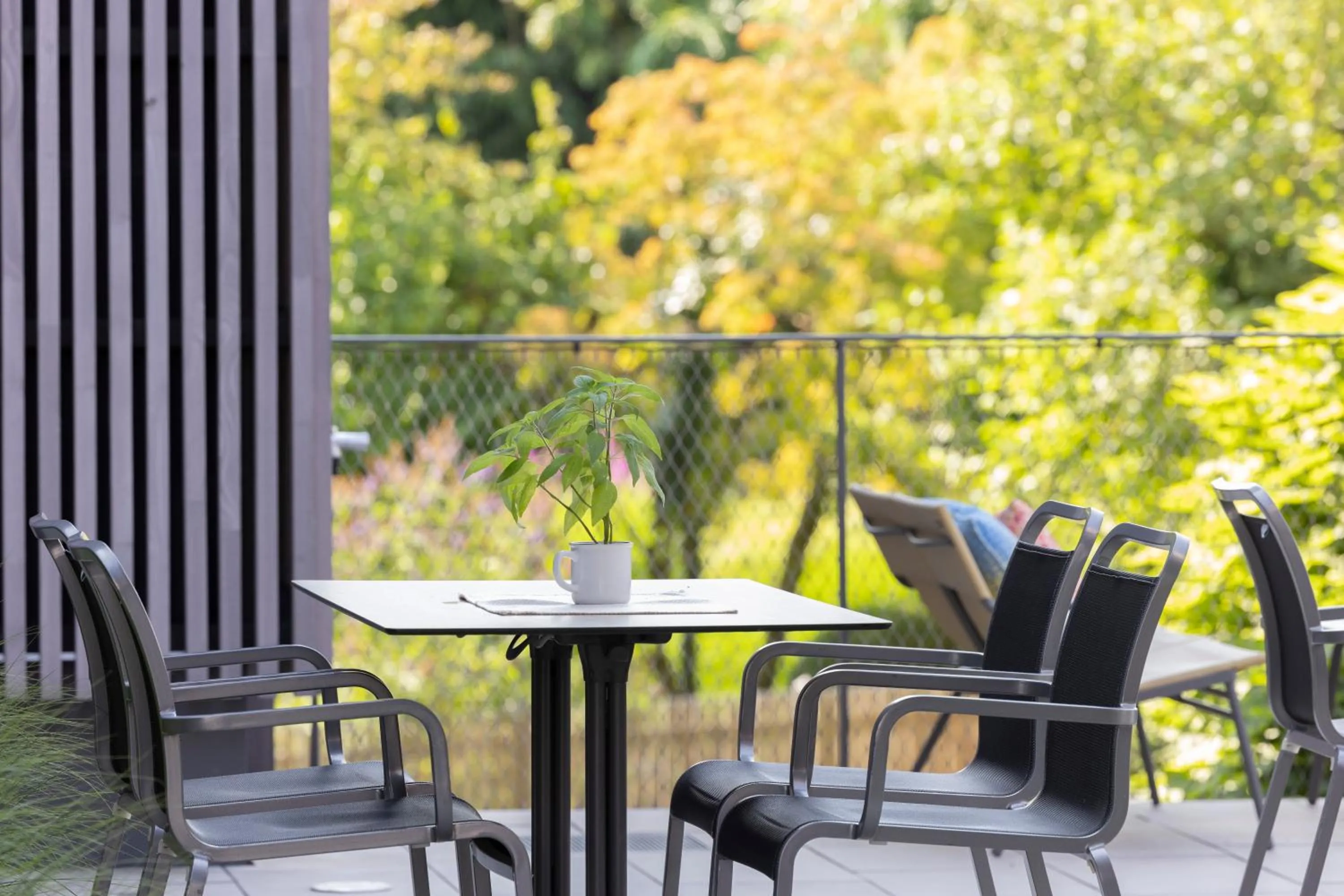 Restaurant/places to eat in Hotel Knoblauch