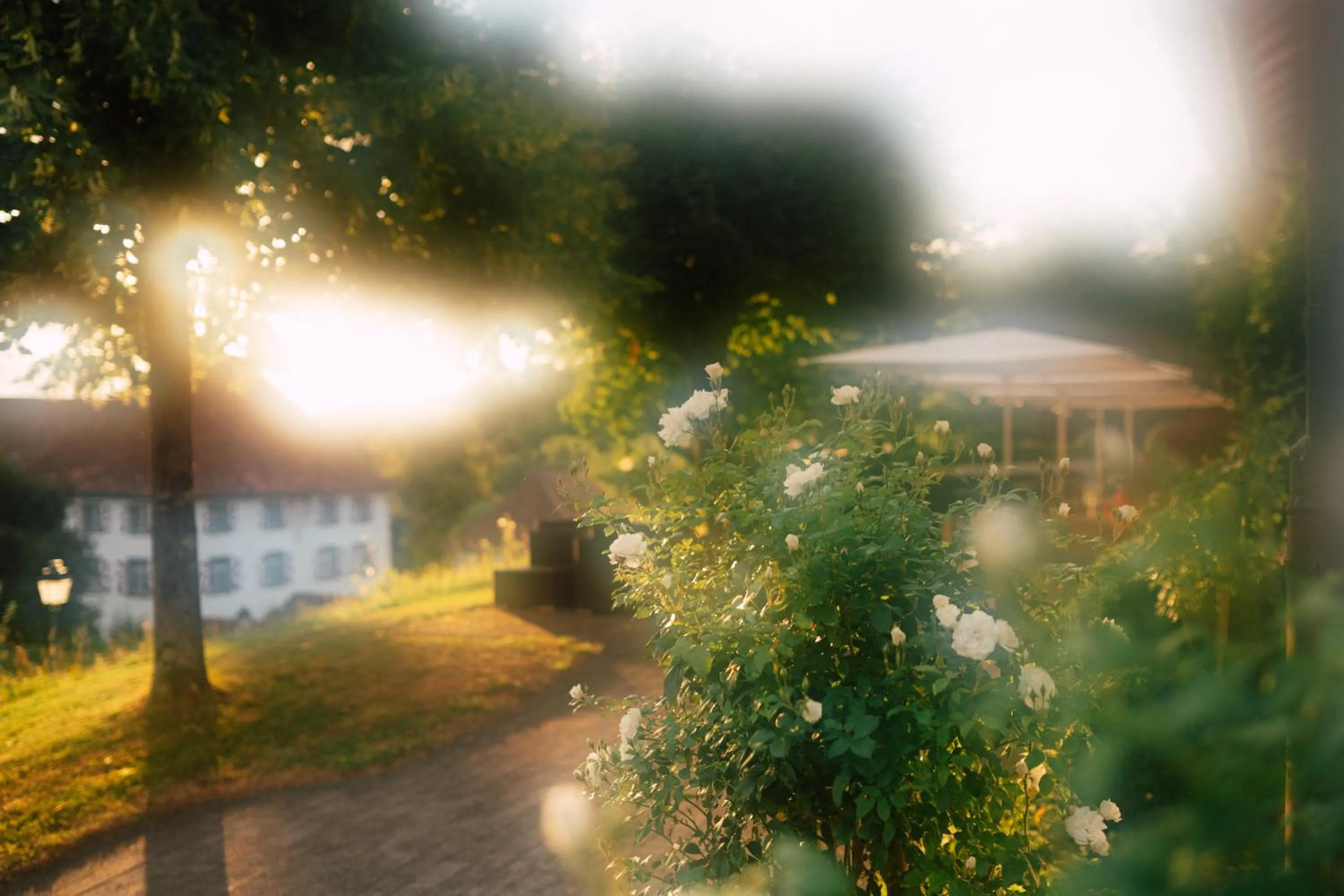 Balcony/Terrace in Schloss Freudenfels