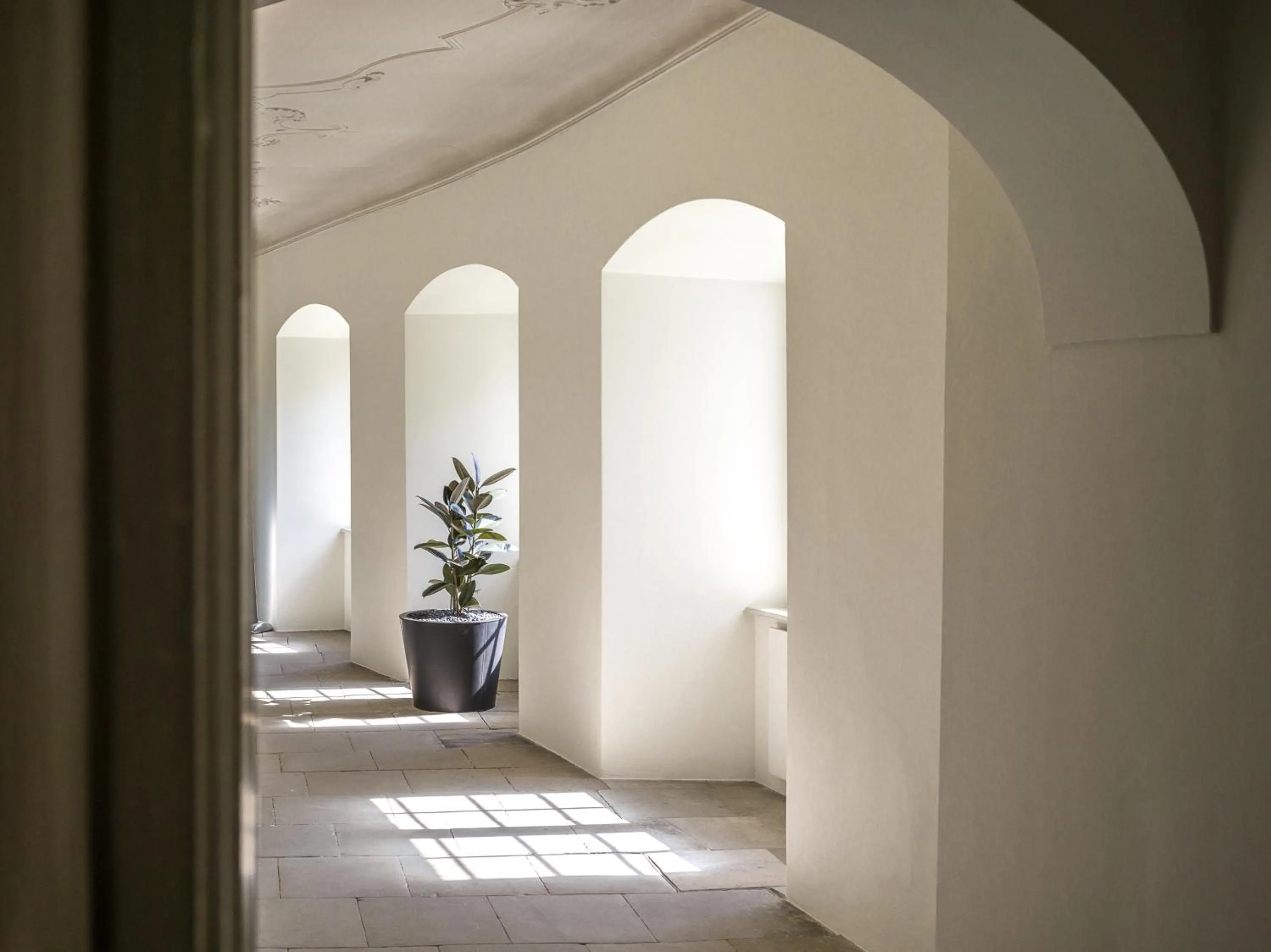 Area and facilities in Schloss Freudenfels