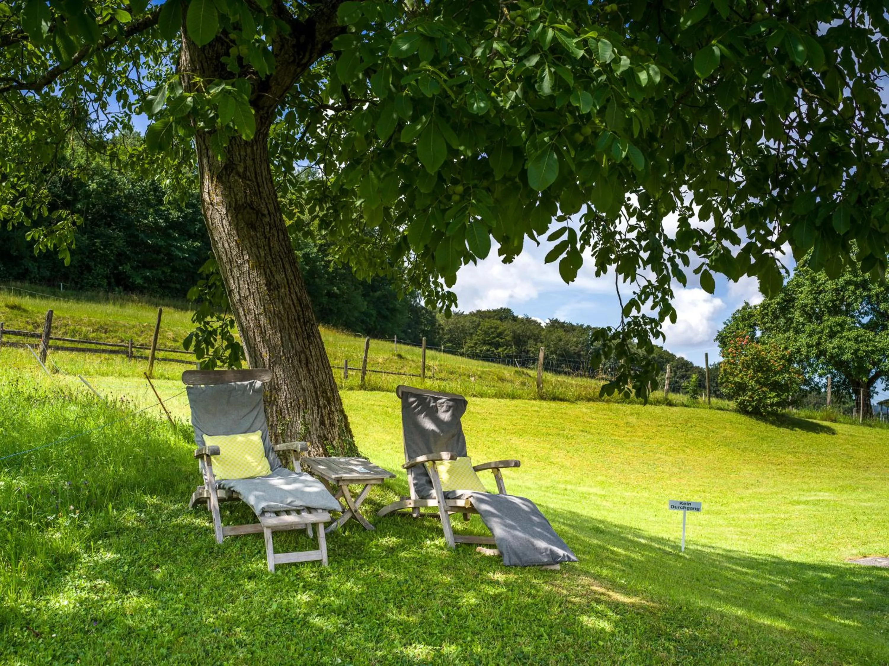 Property building in Schloss Freudenfels