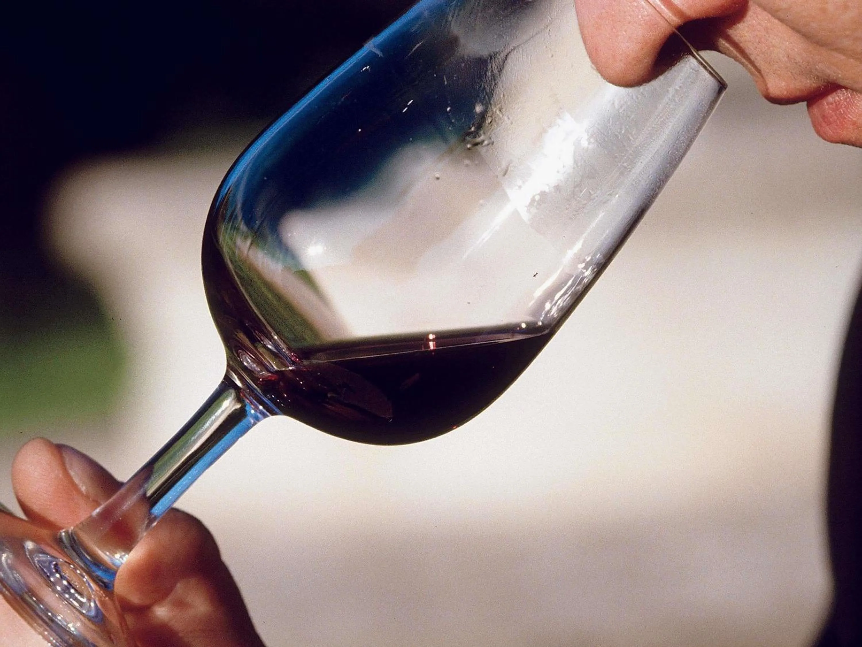 Restaurant/places to eat in Mercure Hotel Stuttgart Airport Messe