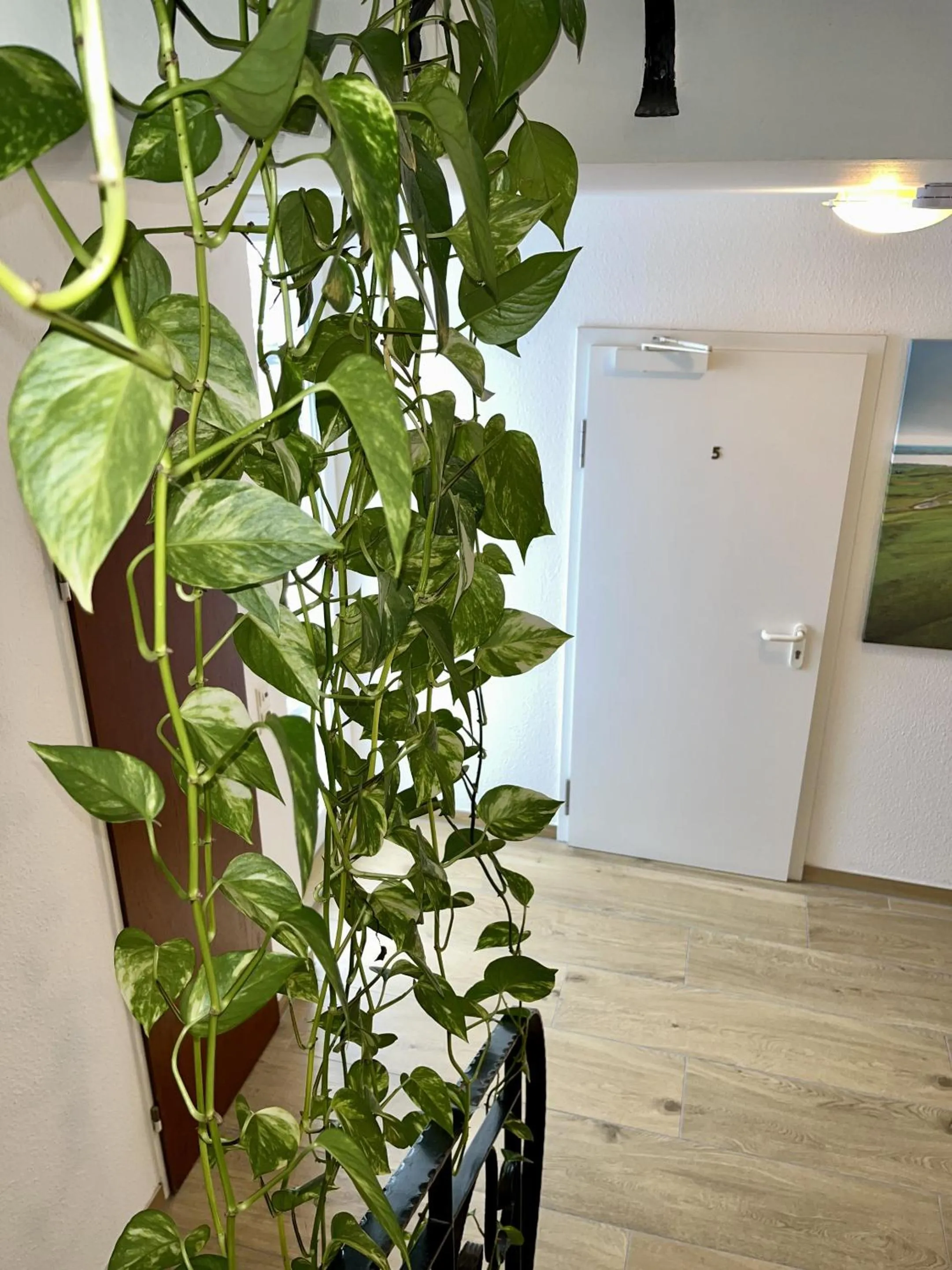 Other in Gästehaus Rheinstetten Forchheim