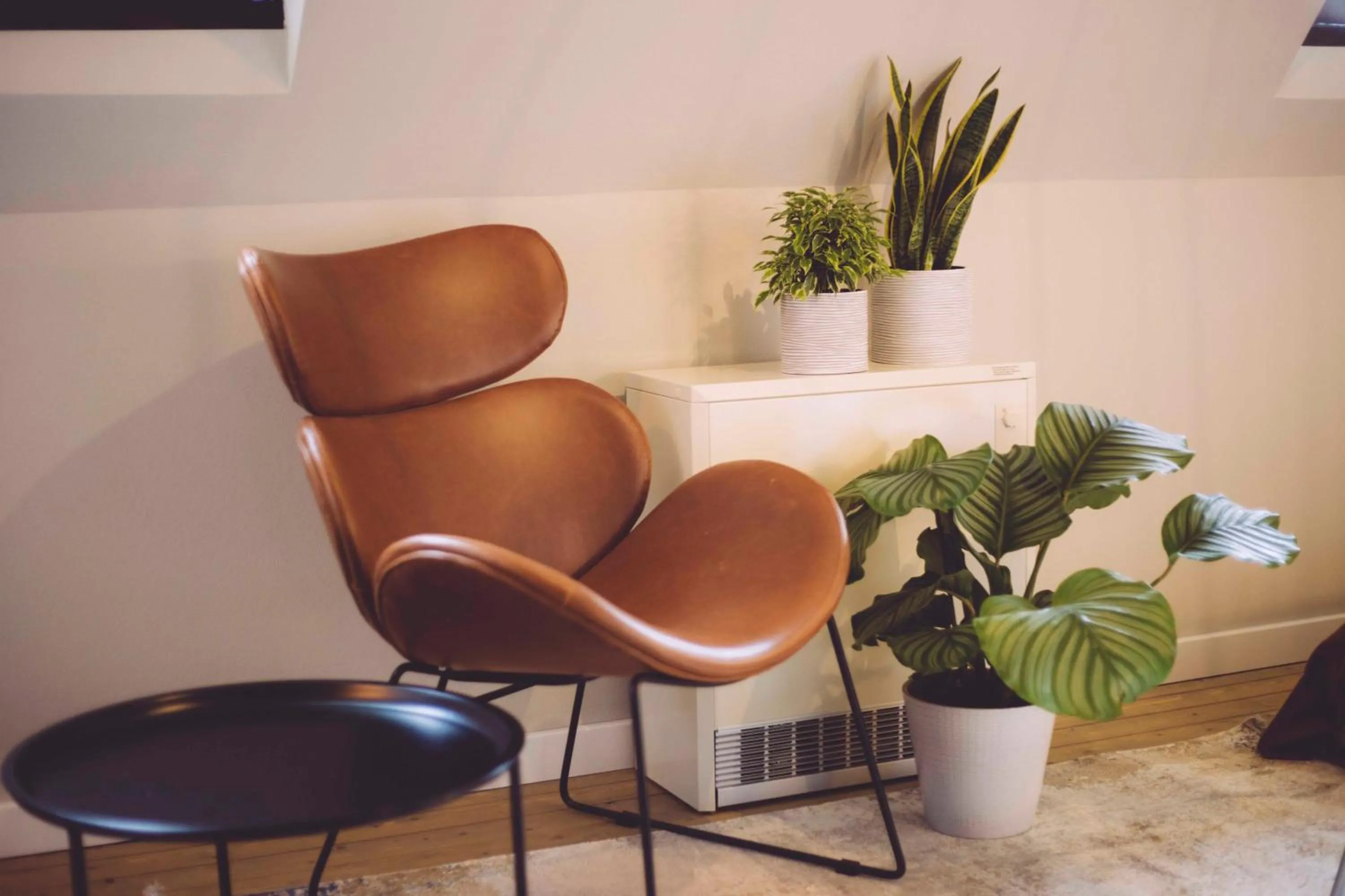 Seating area in EDELFUCHS-LODGE