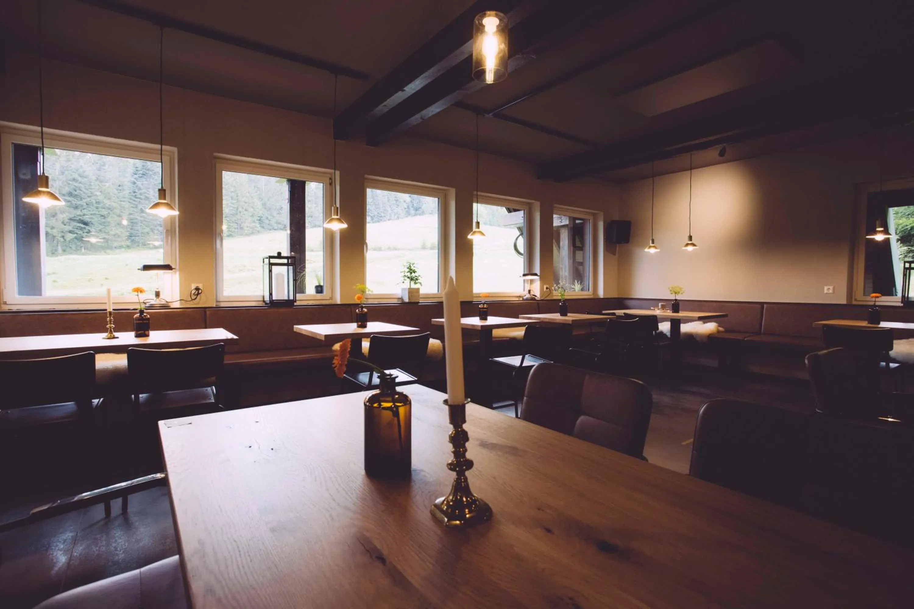 Restaurant/places to eat in EDELFUCHS-LODGE