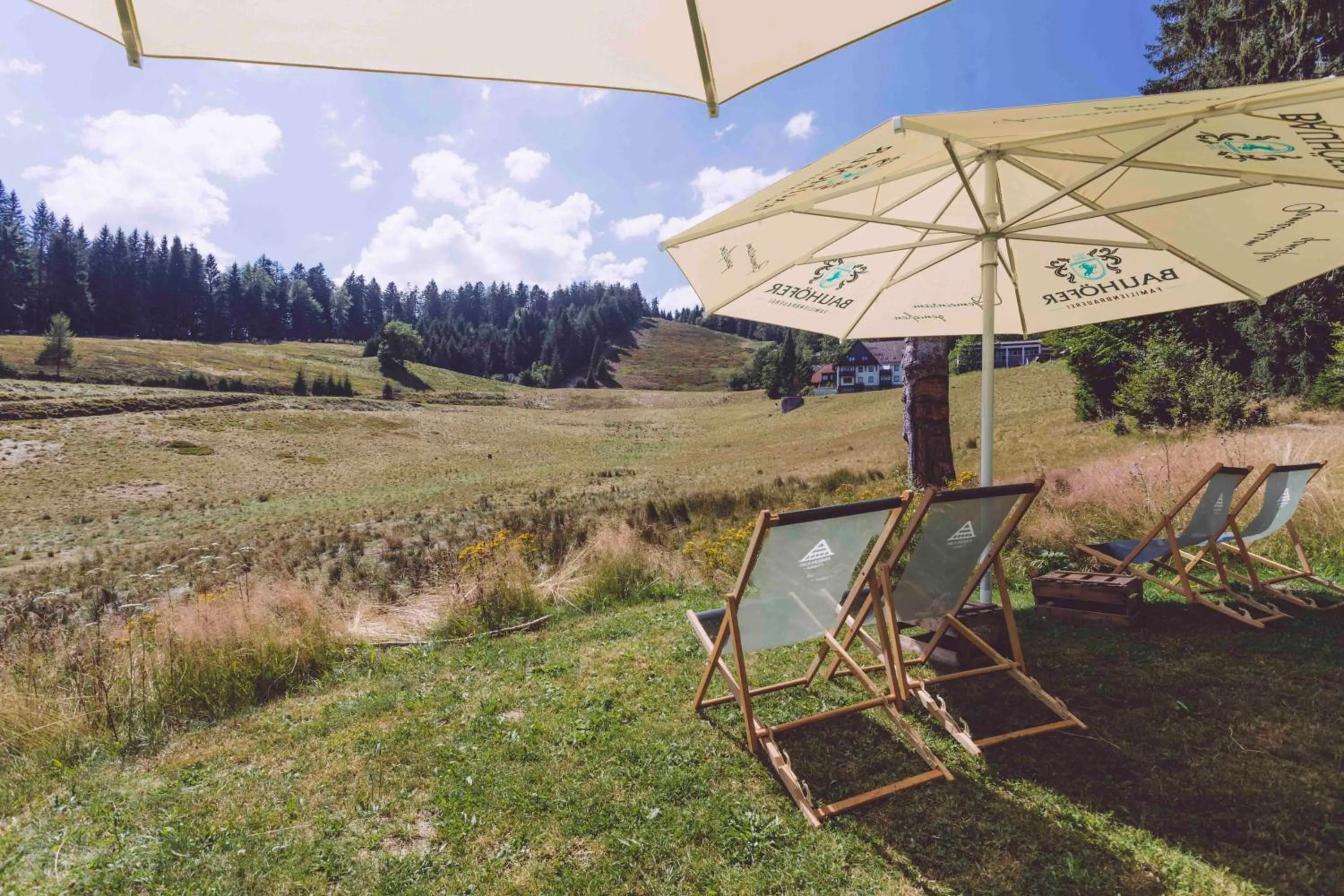 Garden in EDELFUCHS-LODGE