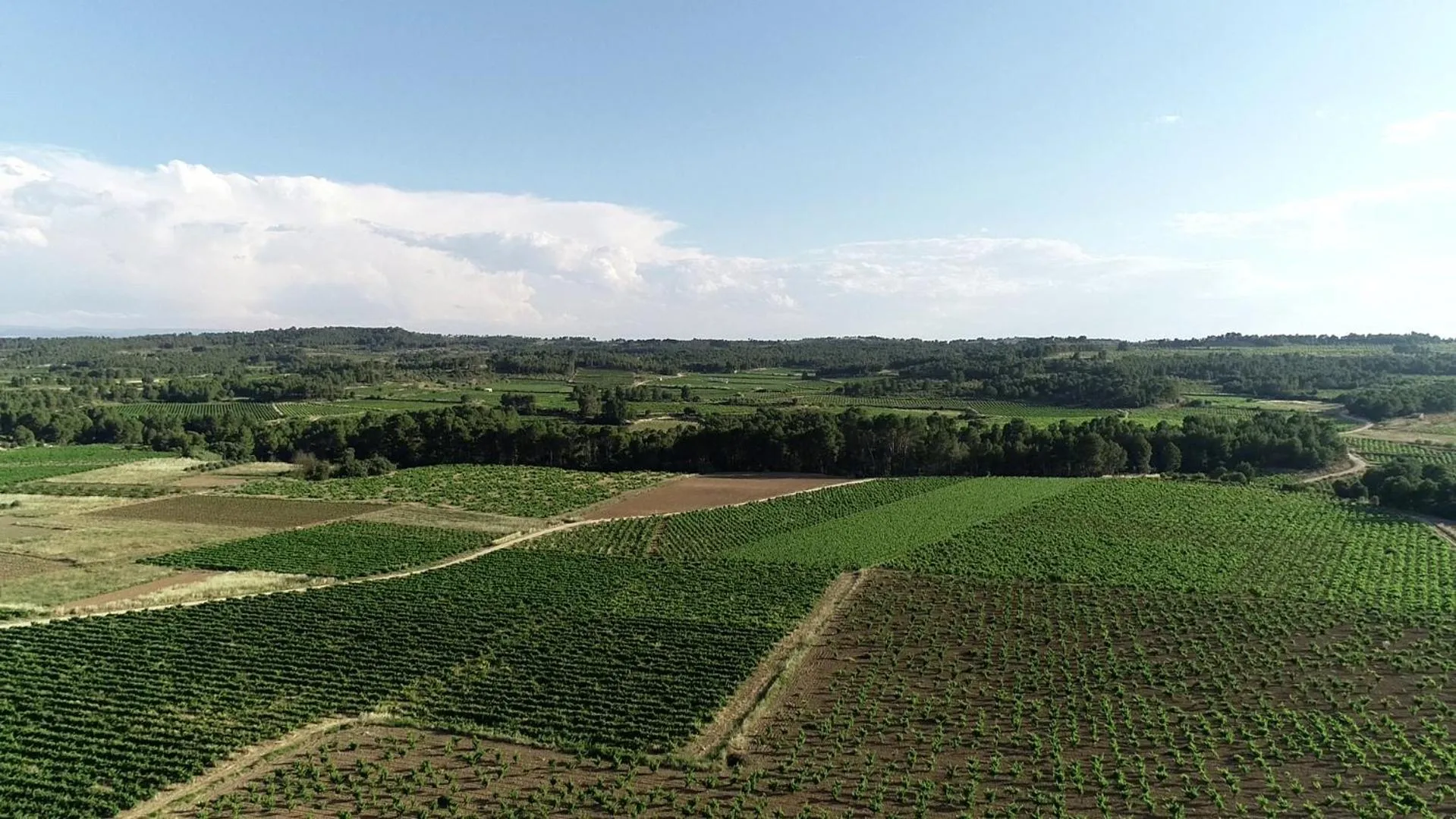 VILASIRA ( Rooms & Wines )