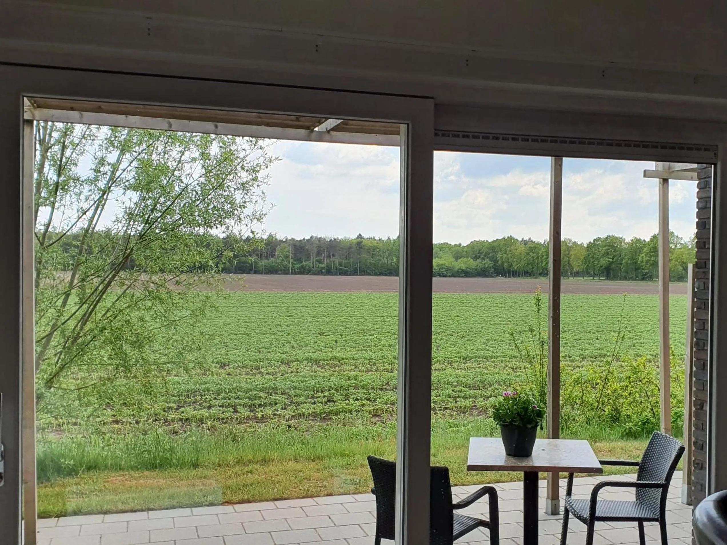 View (from property/room) in B&B Hotel De Vrije Vogel