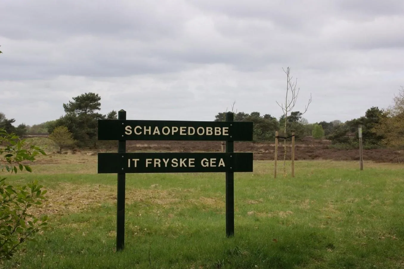 Natural landscape in B&B Hotel De Vrije Vogel