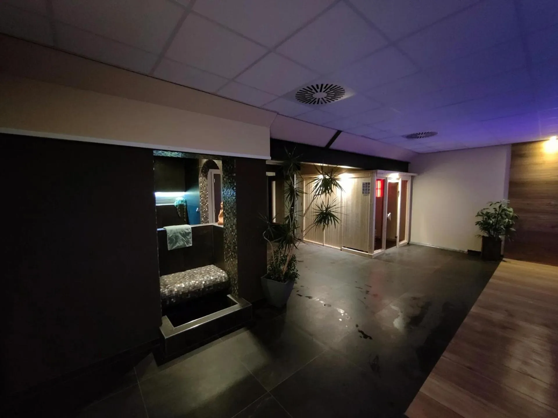 Sauna in B&B Hotel De Vrije Vogel