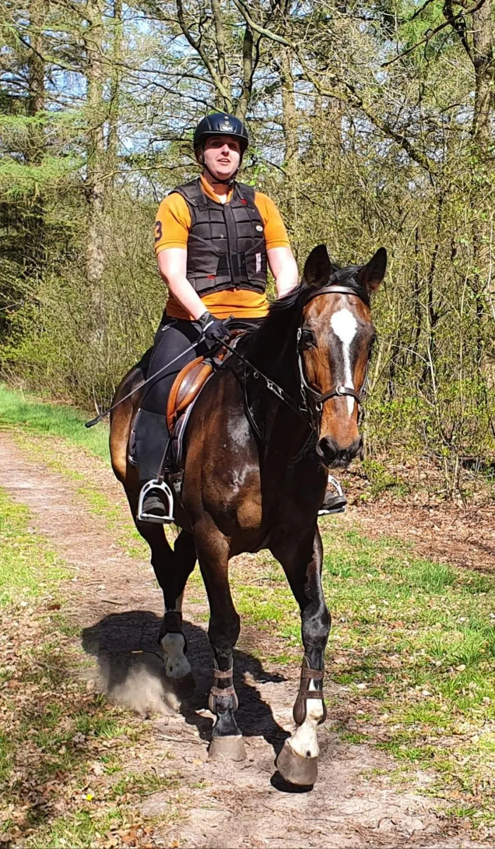 Horse-riding in B&B Hotel De Vrije Vogel