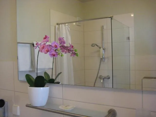 Shower in Hotel Markgräfler Hof