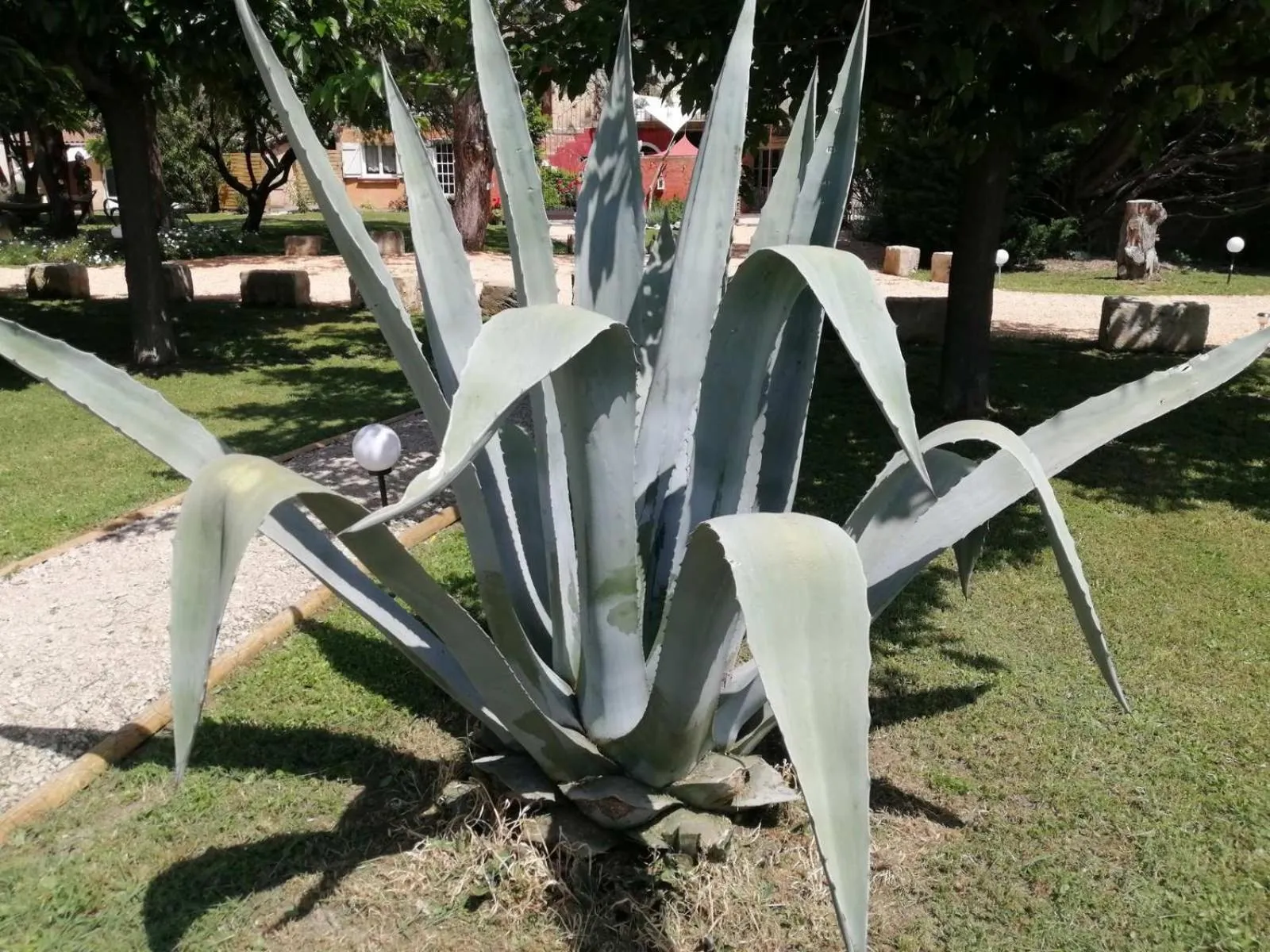 Garden view in MAS MAURANE-Le Platane avec SPA privé aux portes d'ARLES