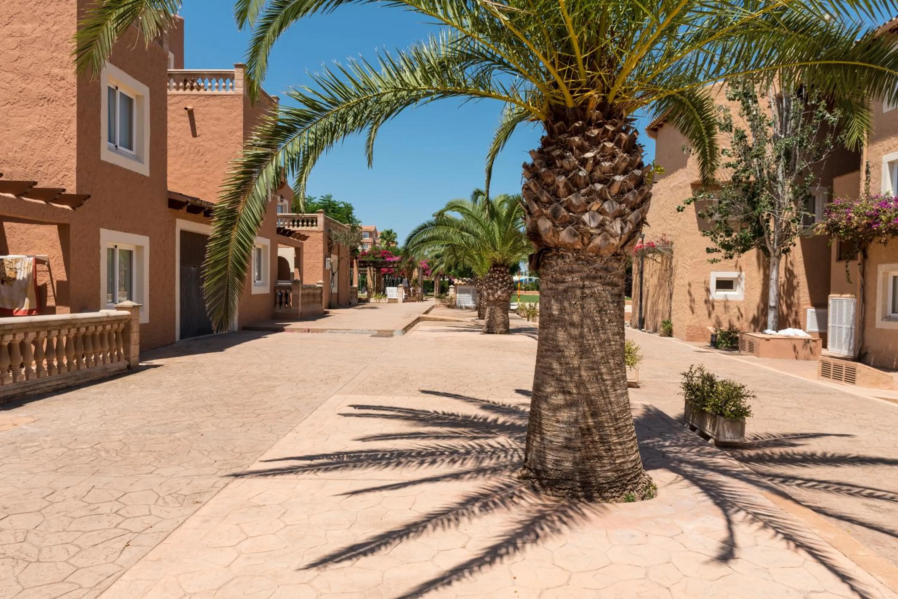 Property building in Aparthotel Ciudad Laurel