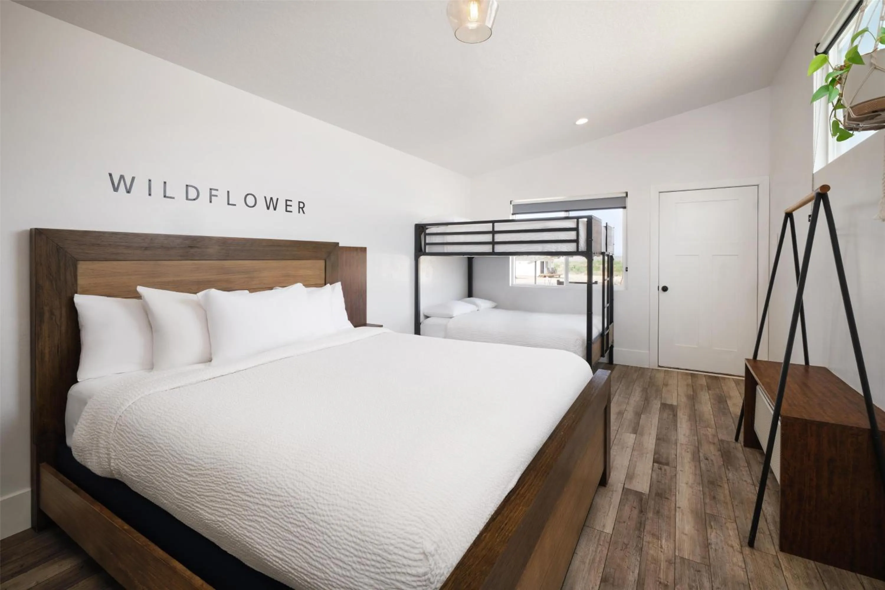 Photo of the whole room, Bed in Zion Wildflower Resort