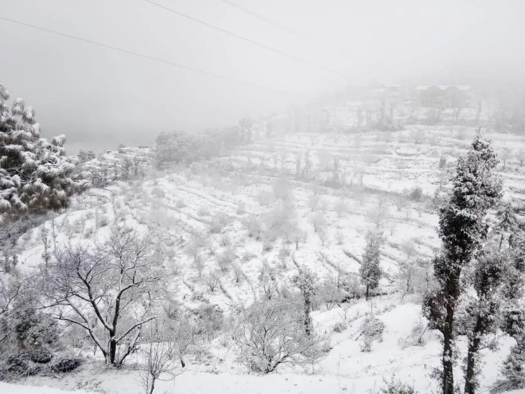 View (from property/room) in Pahadi Ghar Homestay