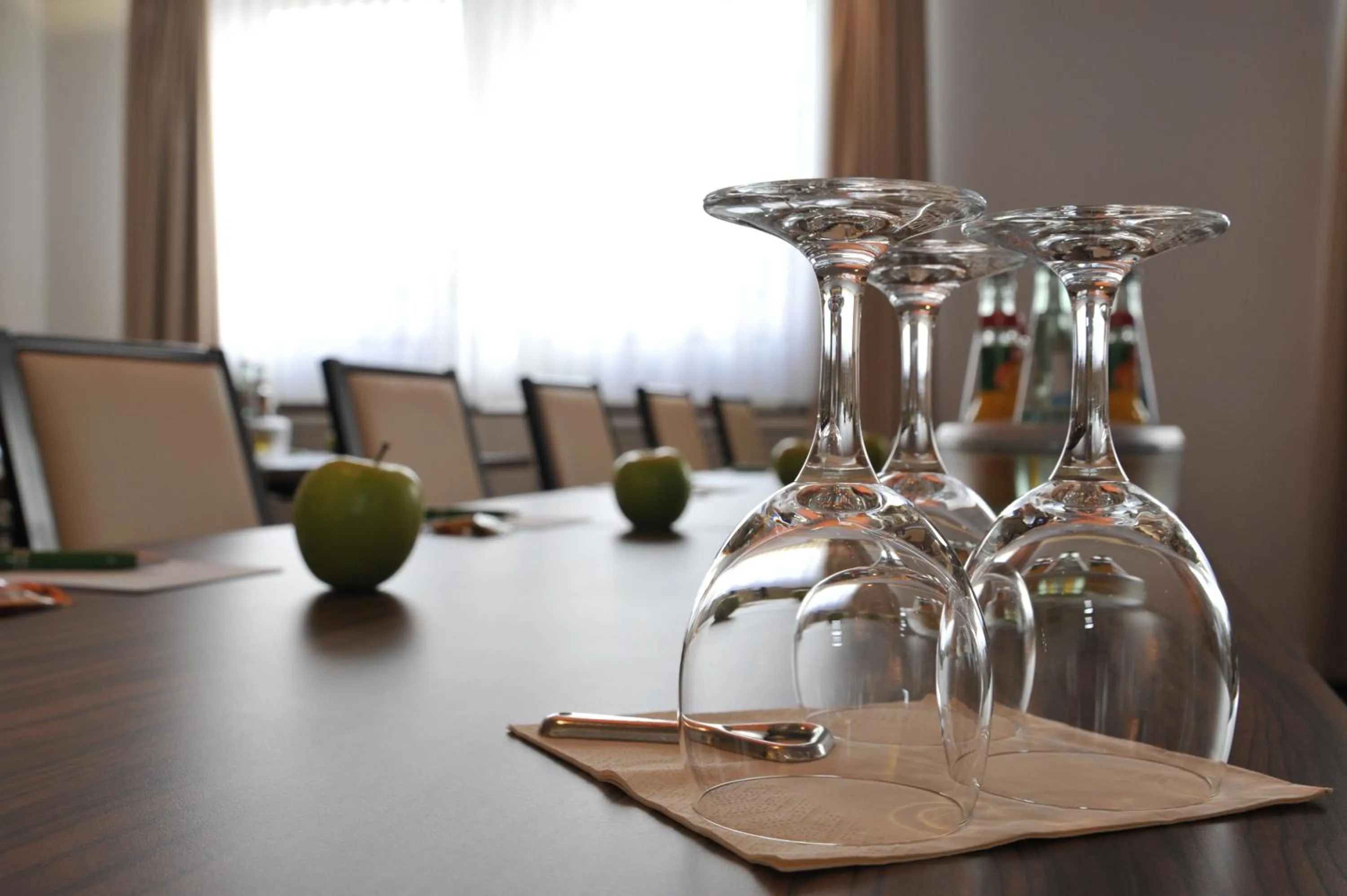 Business facilities in Hotel Markkleeberger Hof