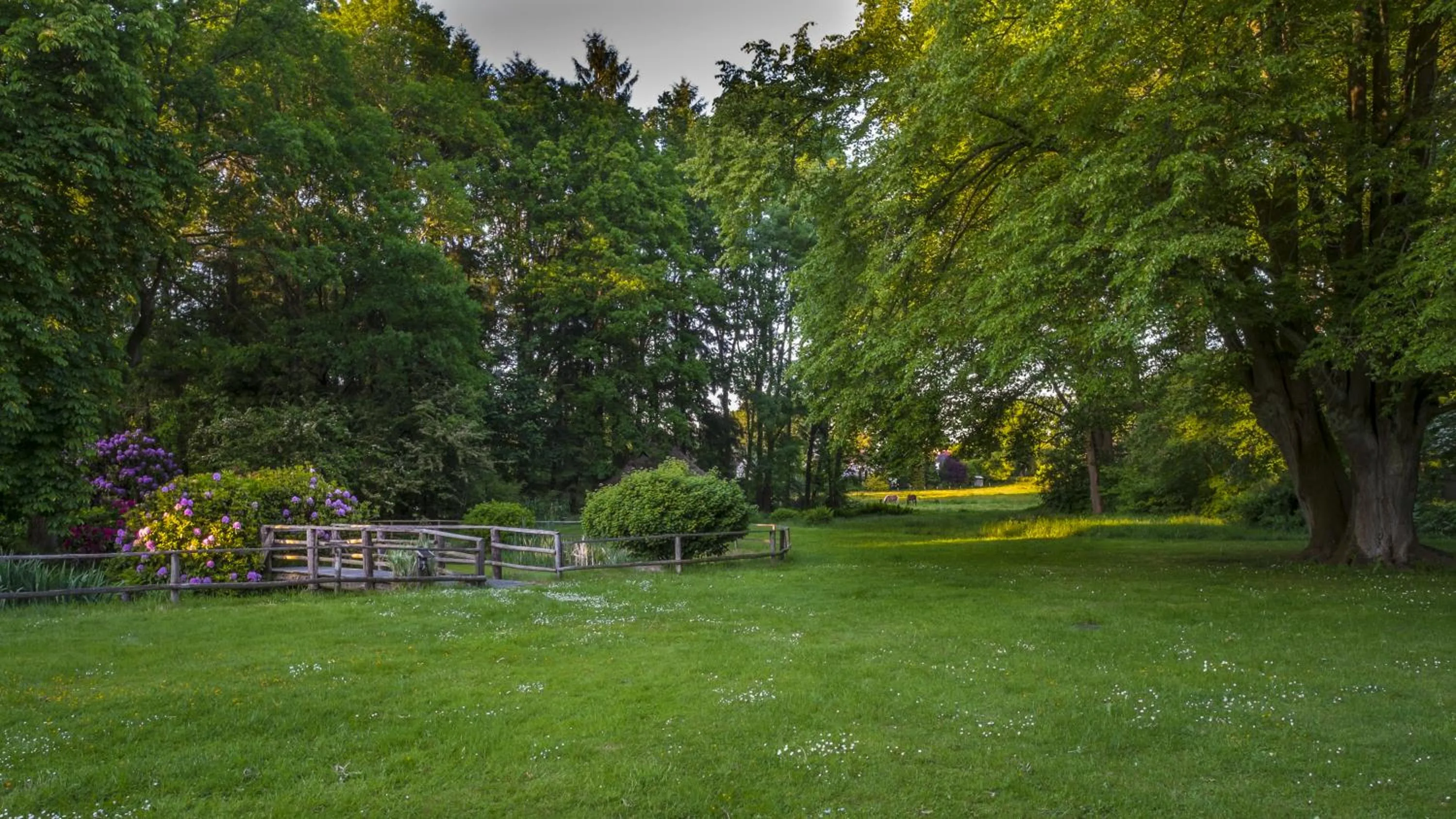 Garden in Flair Hotel Rieckmann