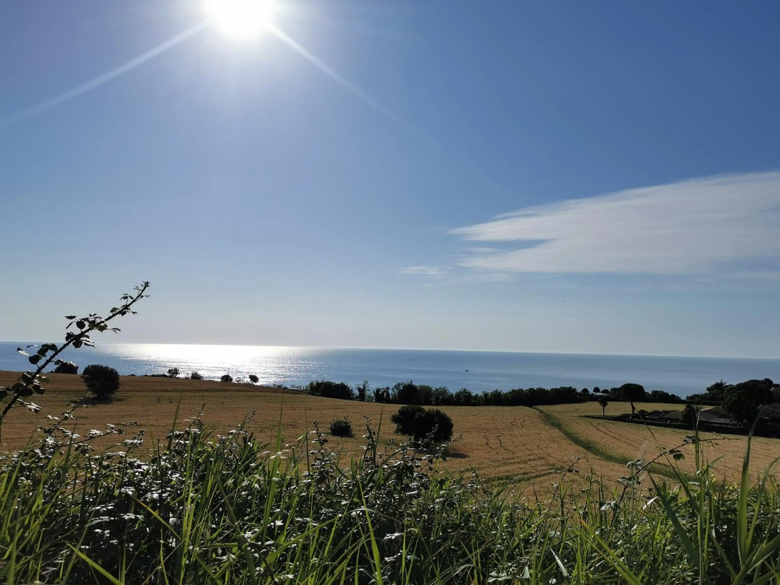 Natural landscape in Nel Conero Affittacamere