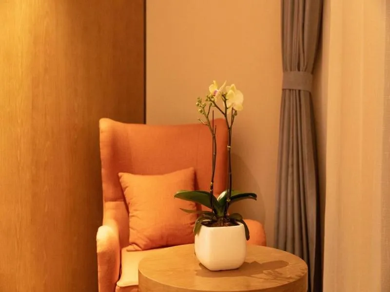 GreenTree Eastern Linyi Airport