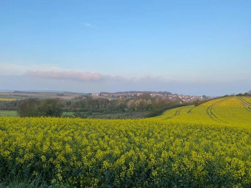 Hôtel de La Plage - WISSANT
