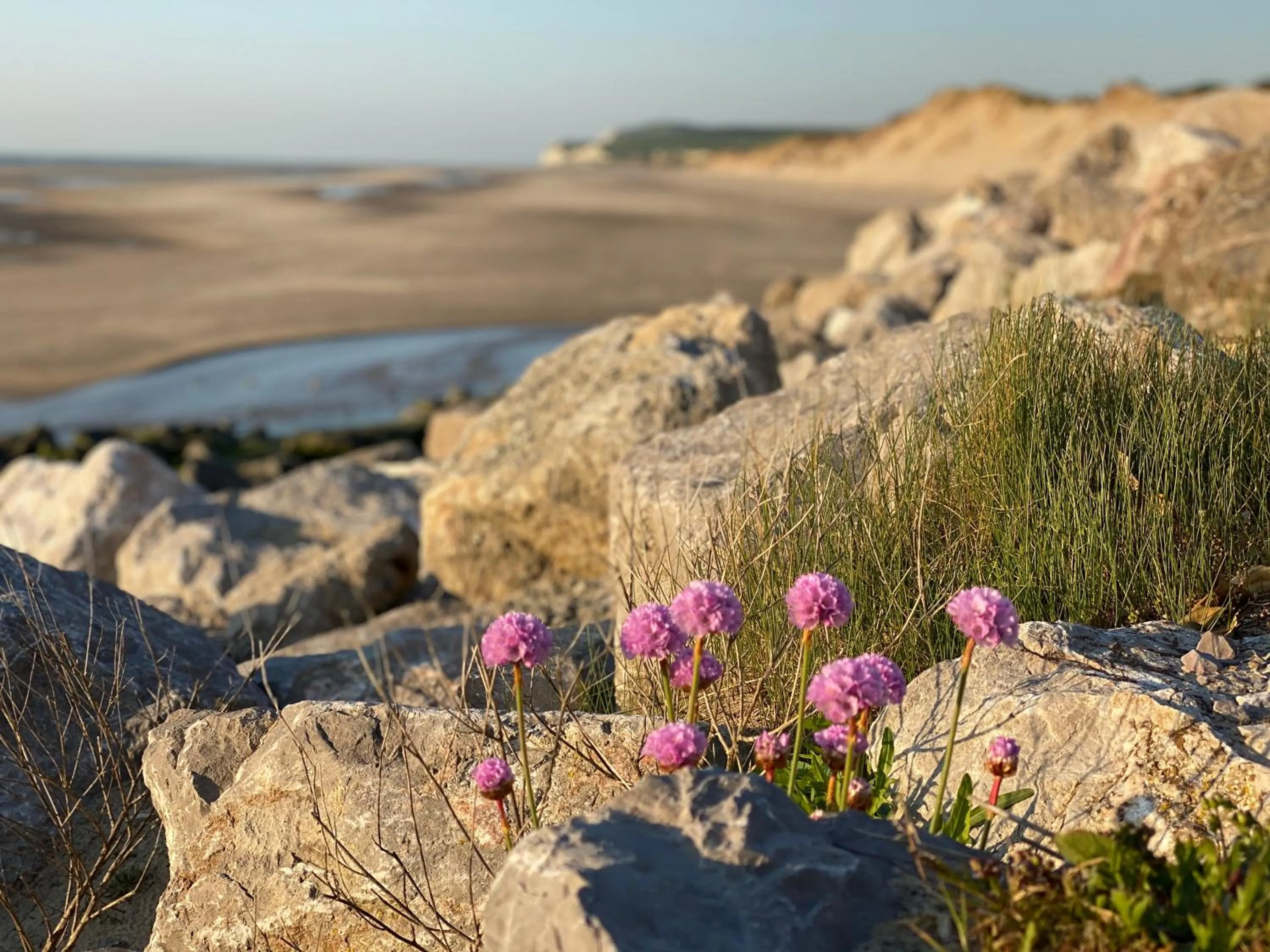 Hôtel de La Plage - WISSANT