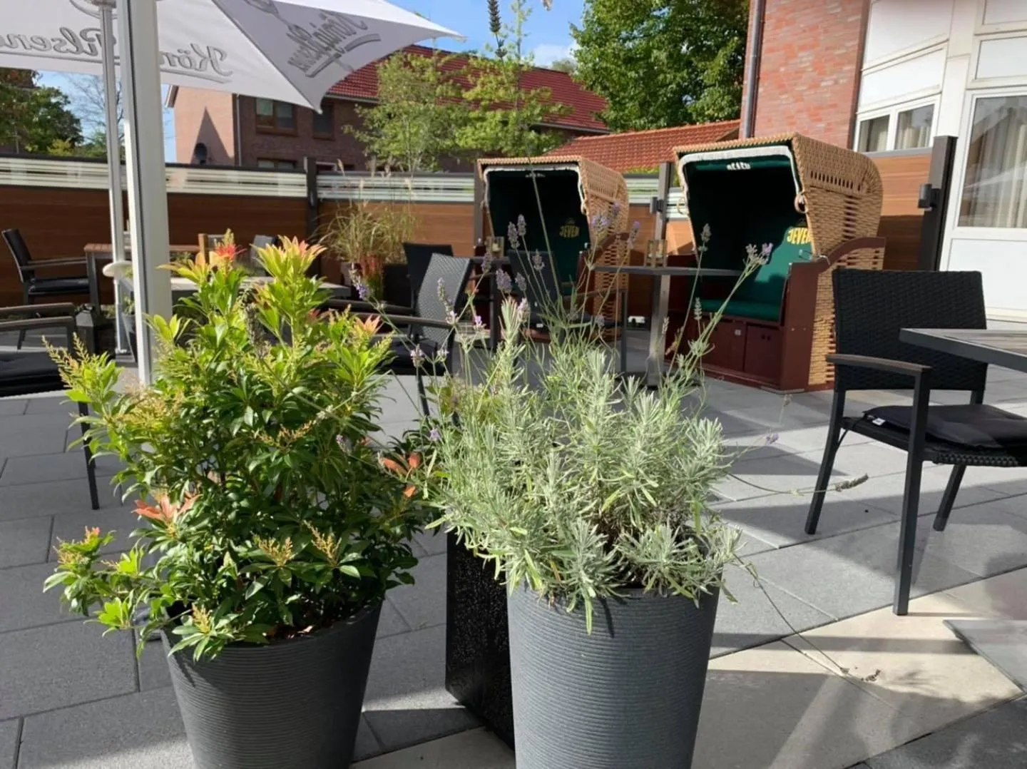 Restaurant/places to eat in Hotel Stadt Aurich