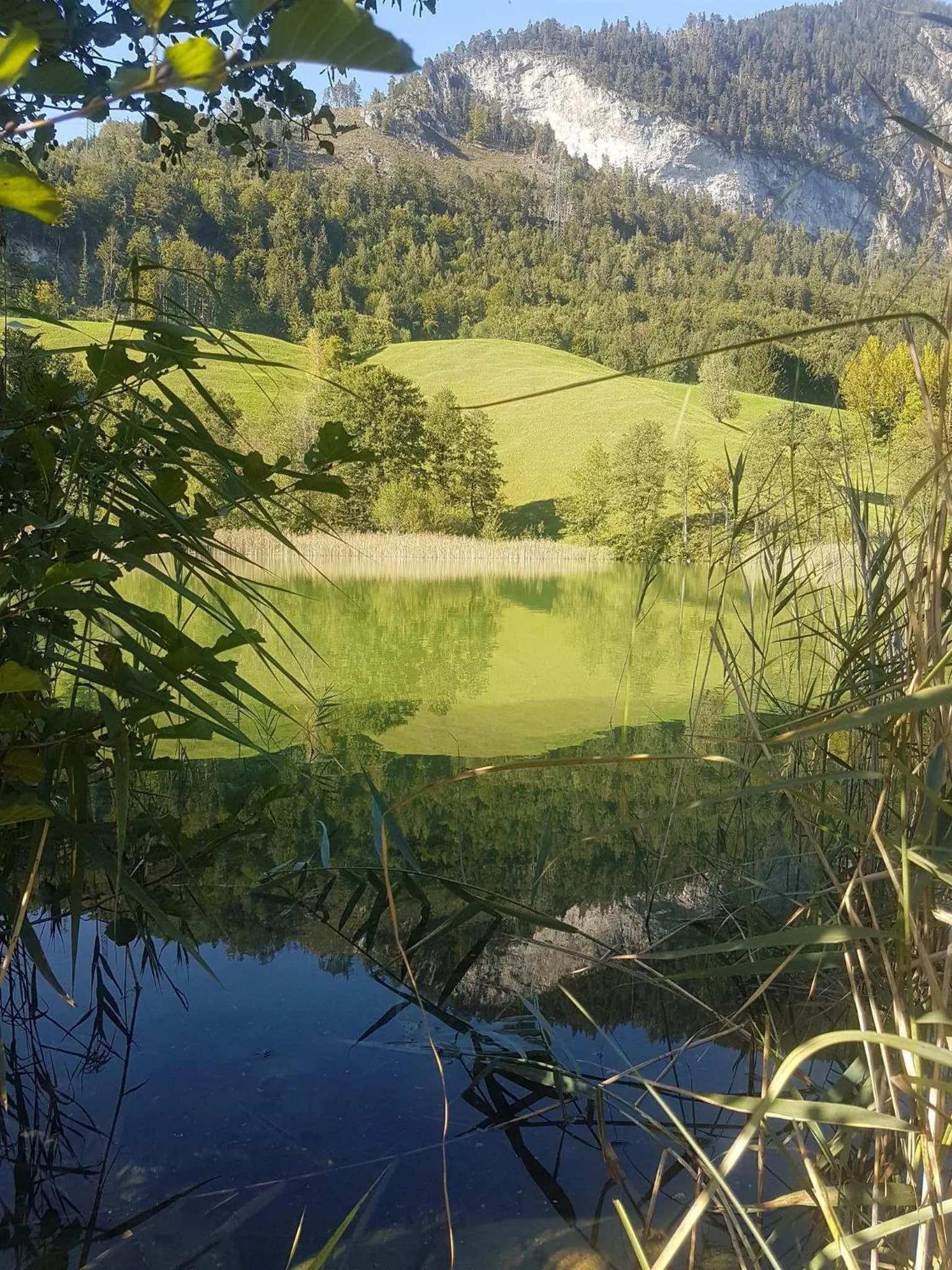 Natural landscape in Haus Theresia