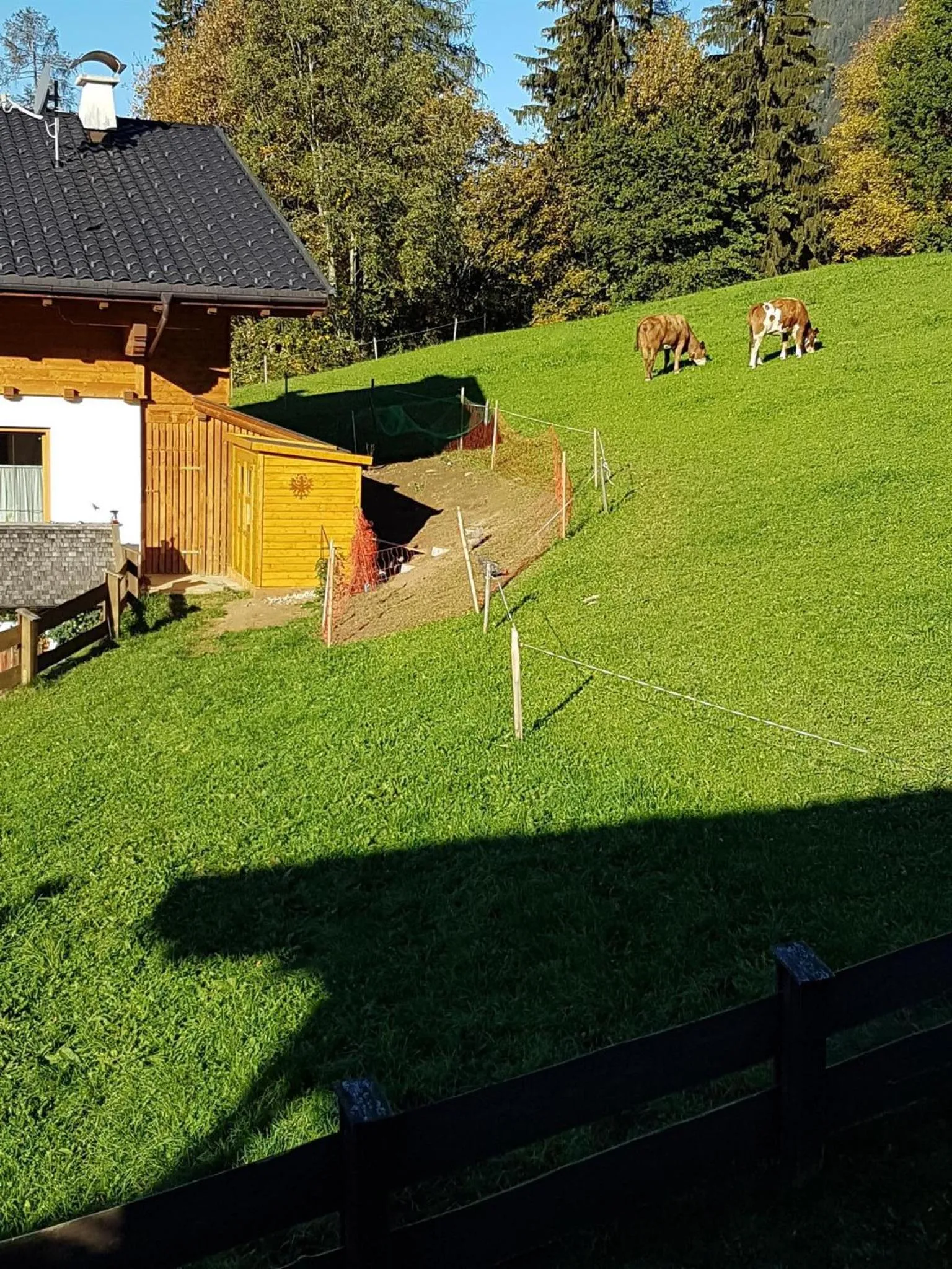 Natural landscape in Haus Theresia