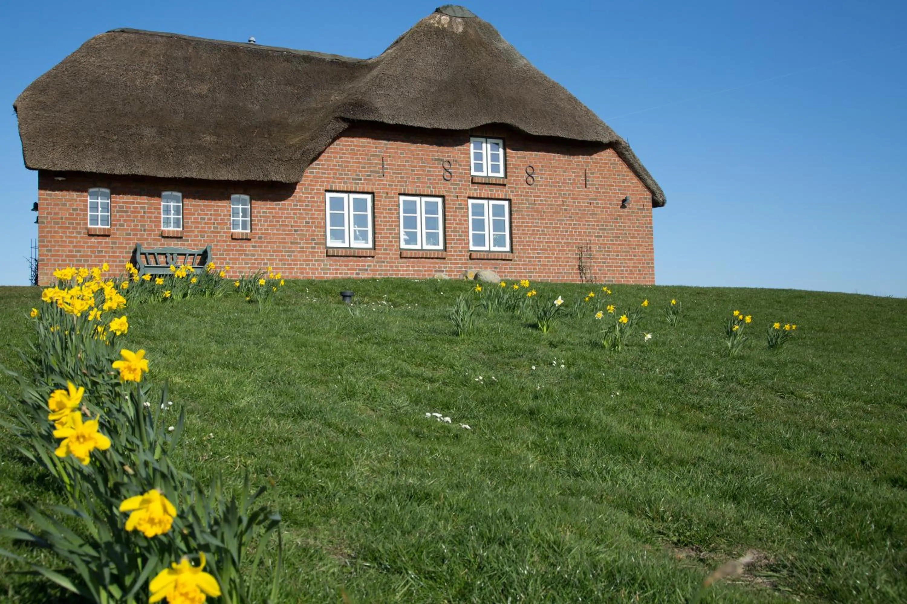 Paulas Haus Ferien unter Reet