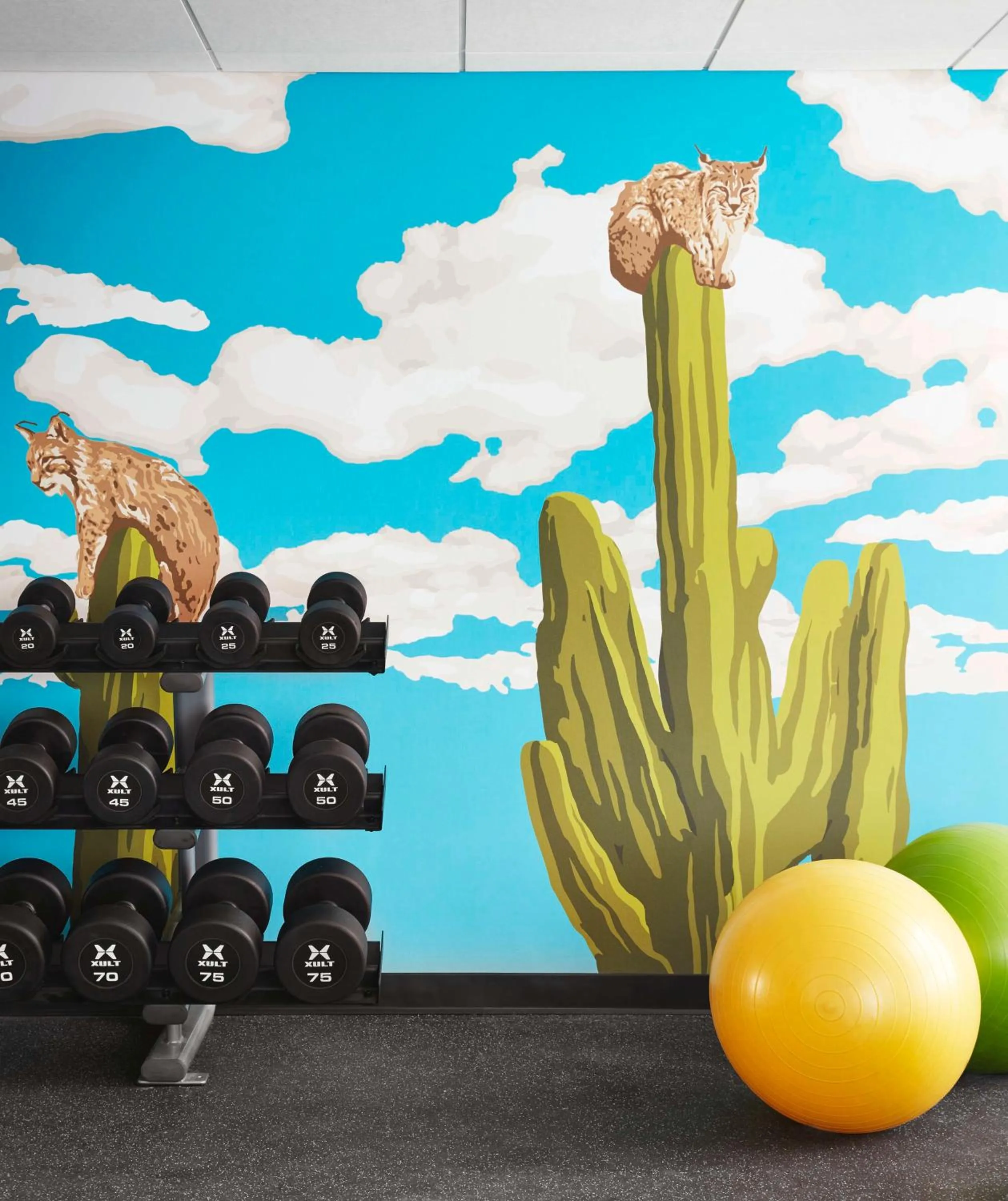 Fitness centre/facilities in Graduate by Hilton Tucson