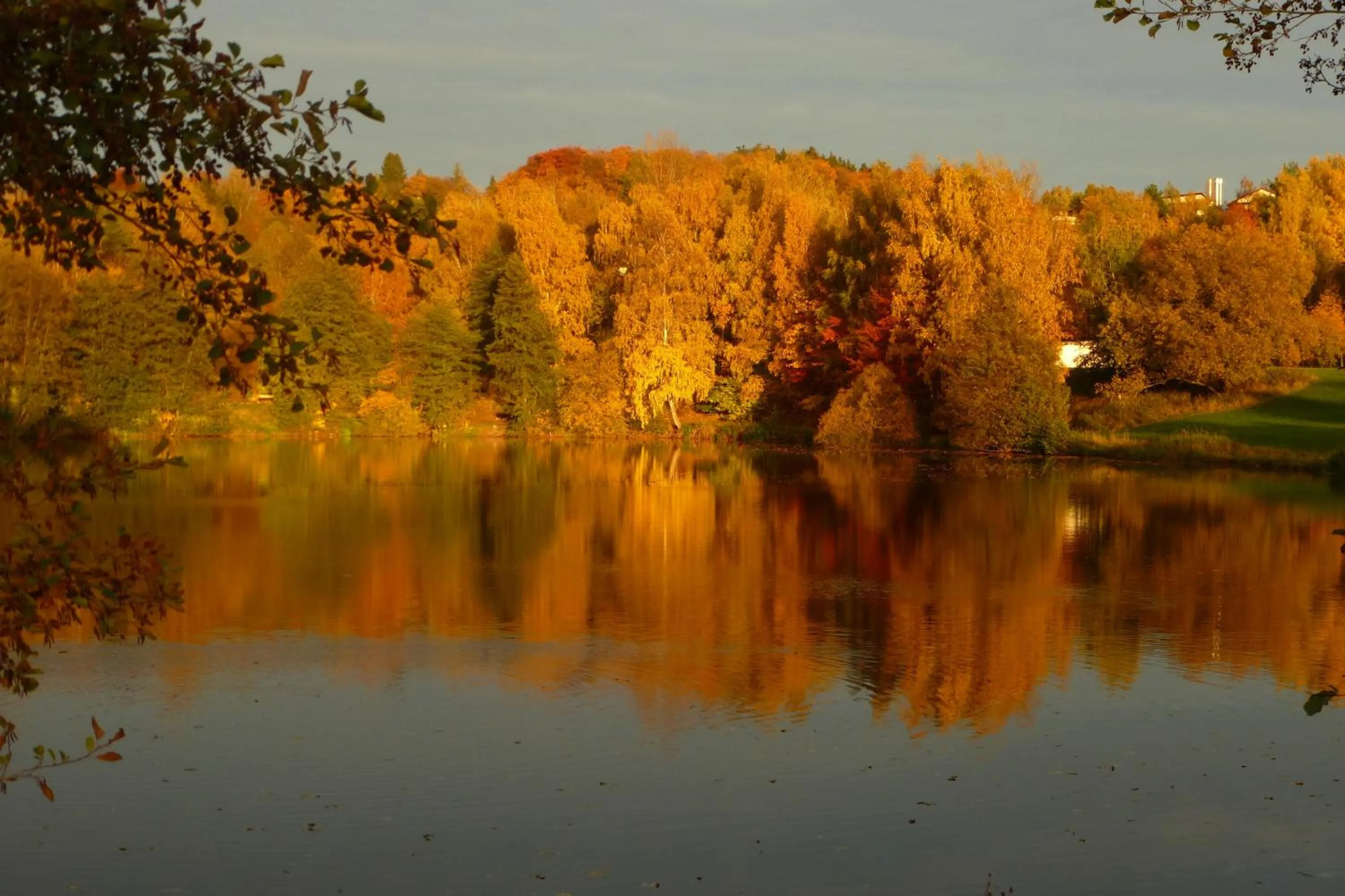 Natural landscape in Hotel Munzert