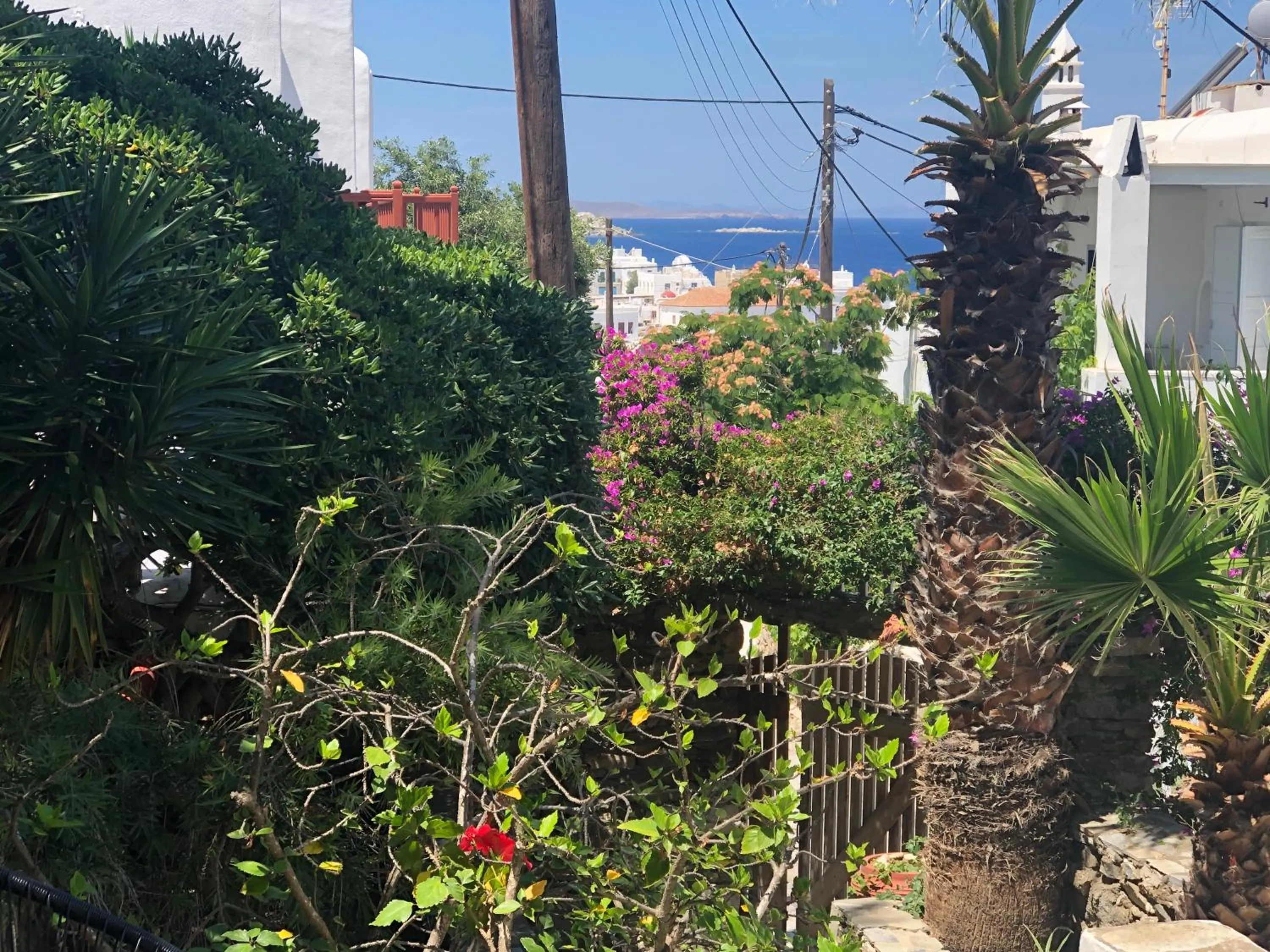 Garden in Rania Apartments Sea View