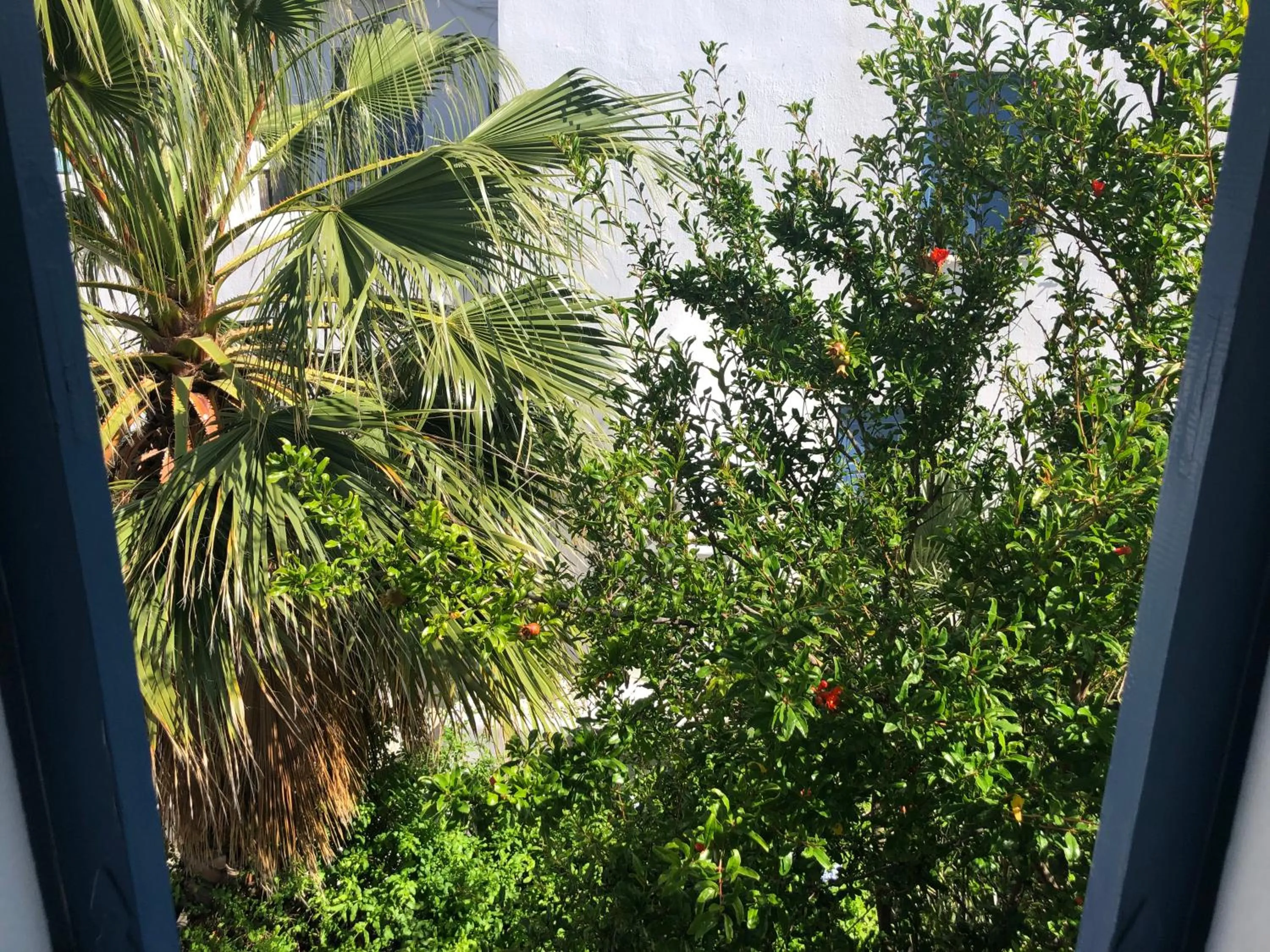 Garden in Rania Apartments Sea View