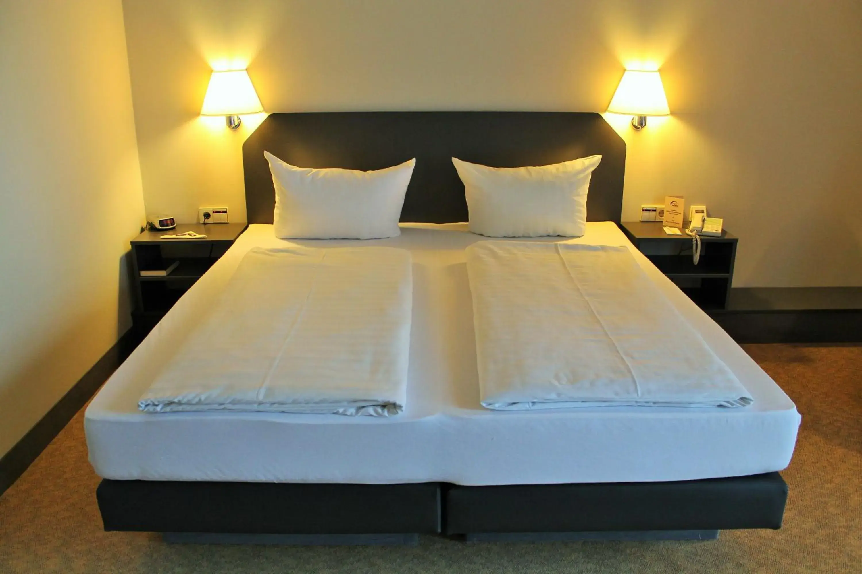 Double Room in Hotel Wörth Double Room in Hotel Wörth