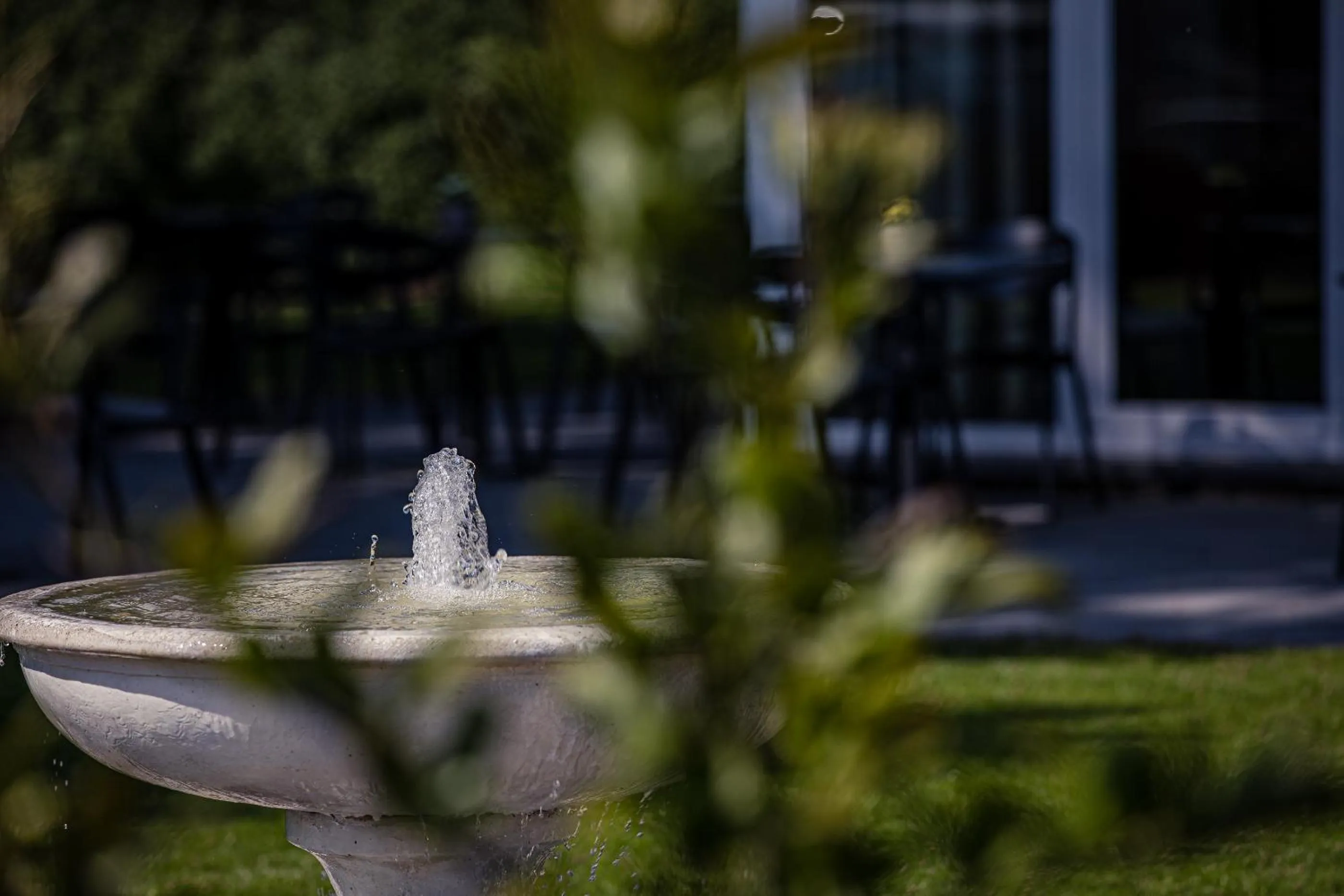 Garden in Burgemeesterhuys