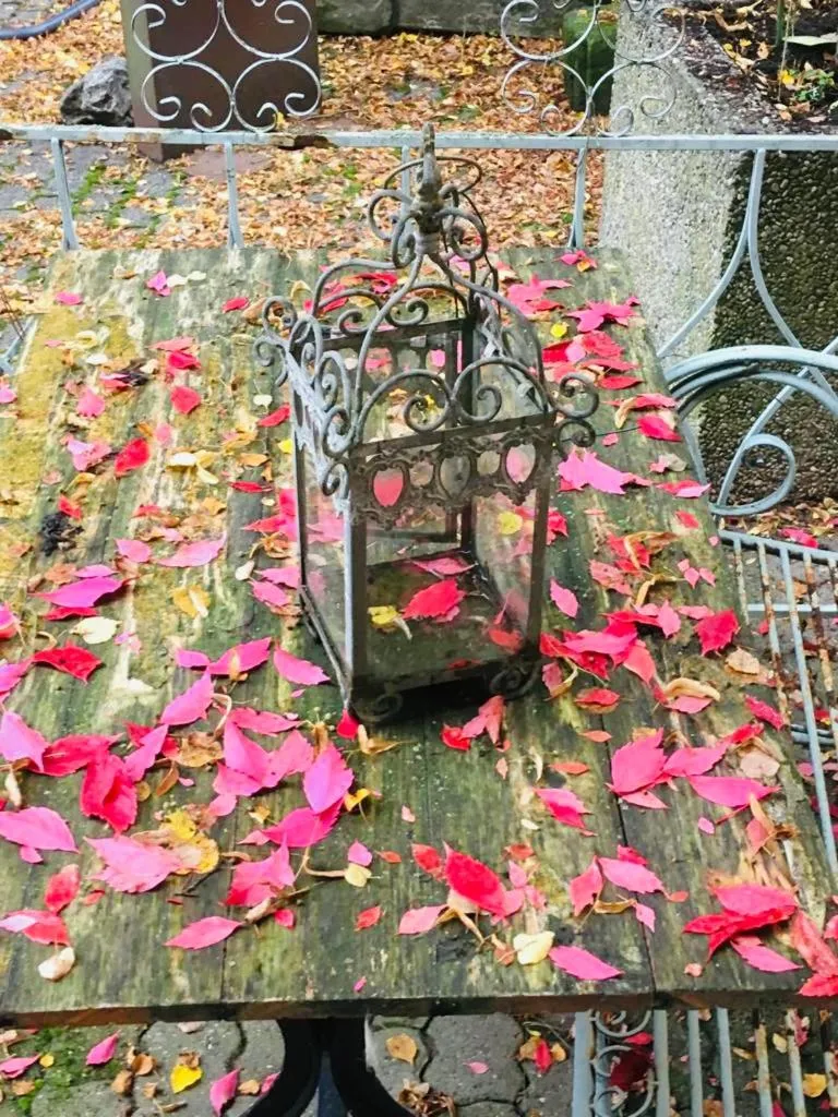 Garden in Hotel-Restaurant Buger Hof