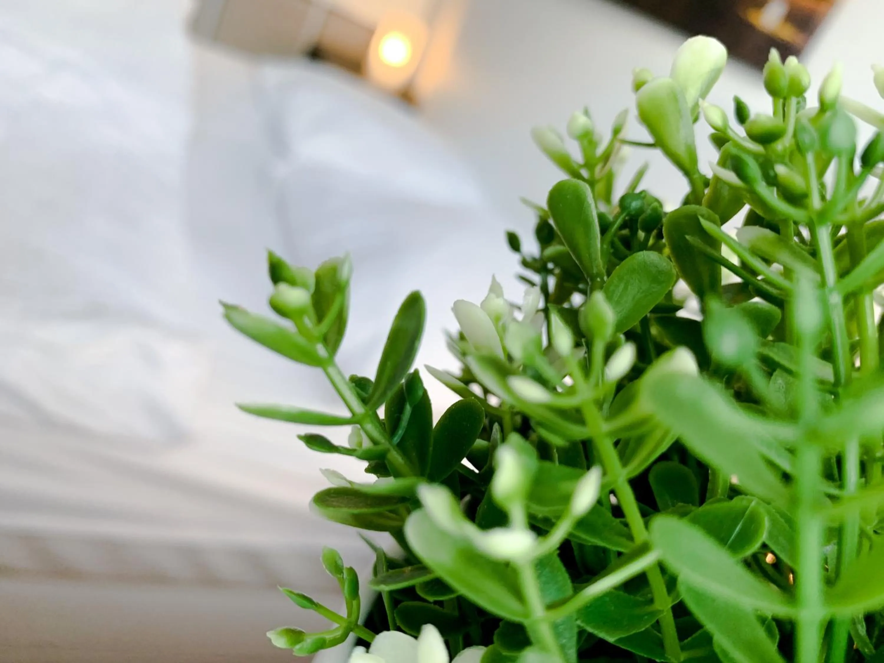 Decorative detail, Bed in Relax Aachener Boardinghouse Appartements Premium 1