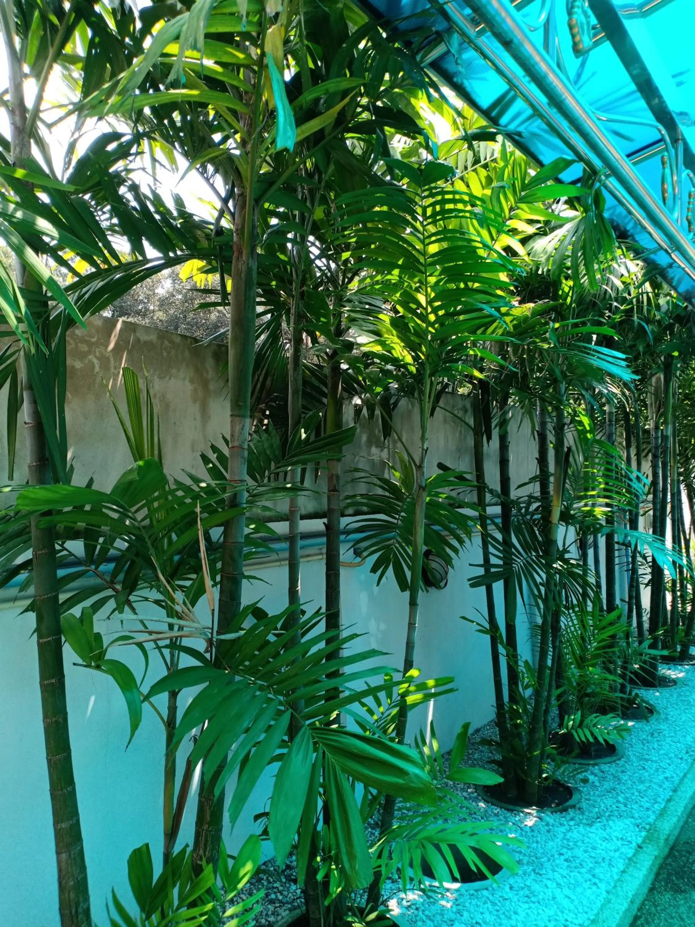 Garden in Malee Resort