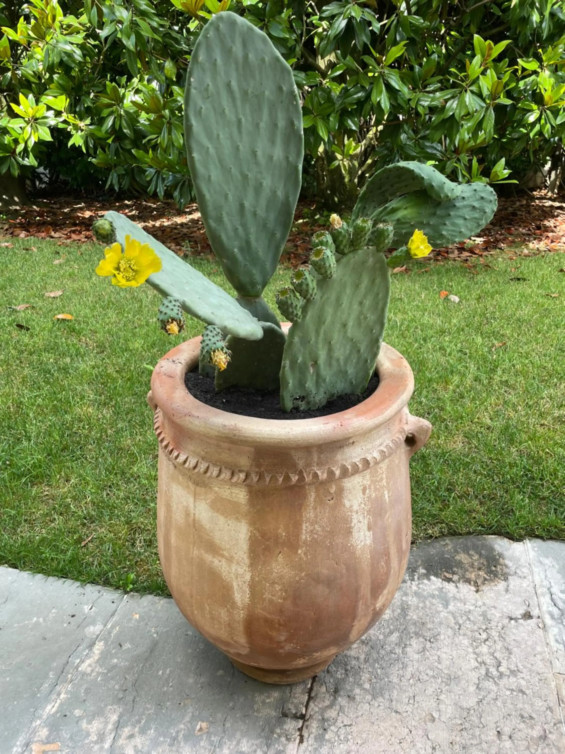 Property building in Maison Silvia