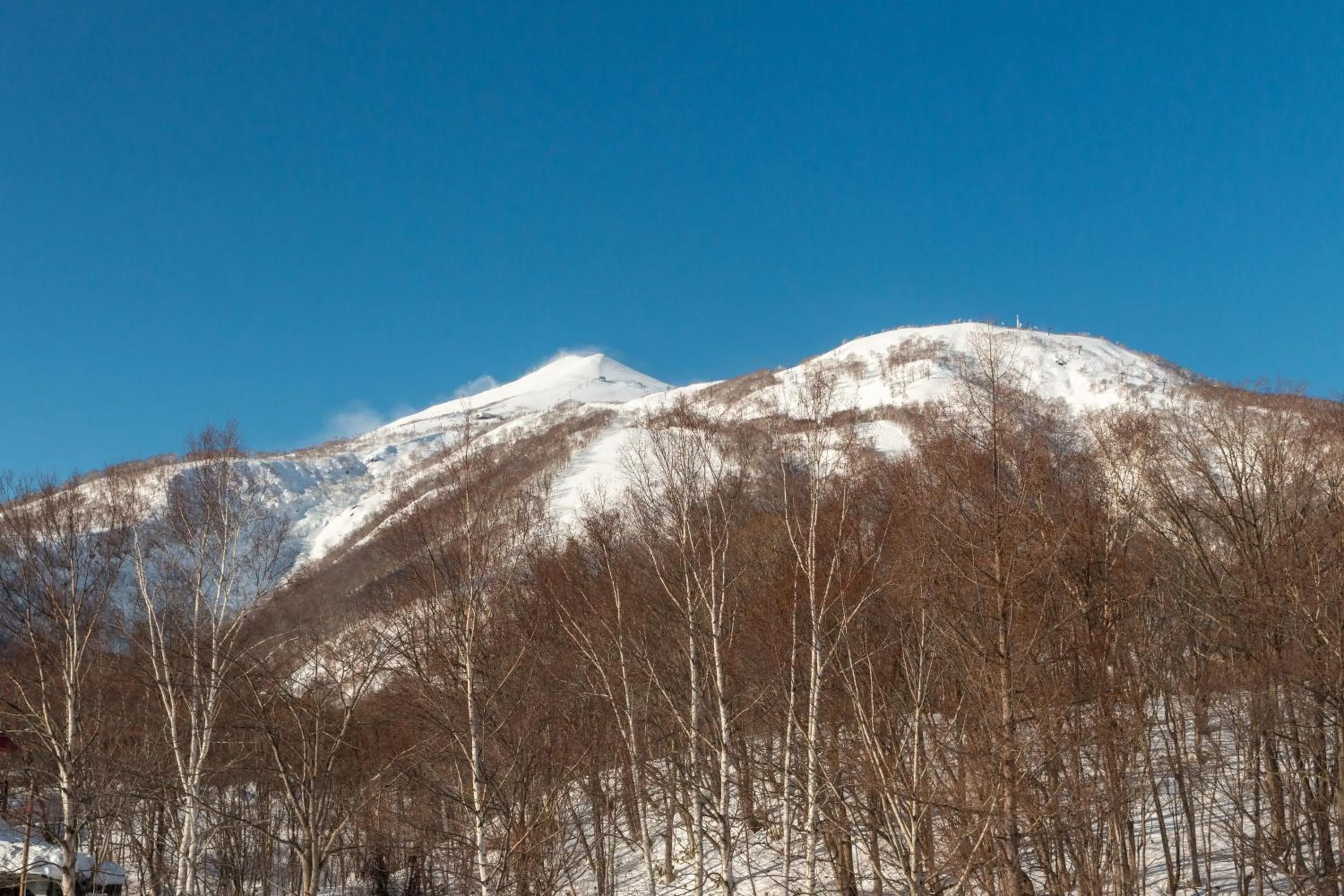 Mountain view in Foxwood D