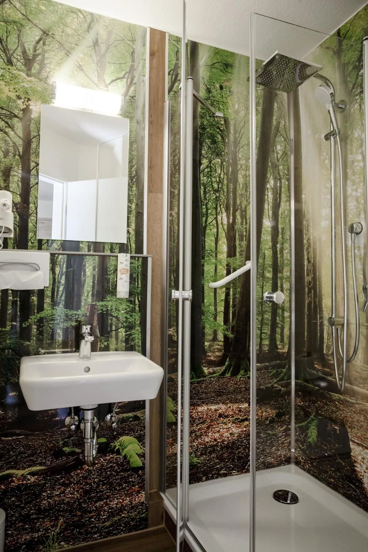 Shower in Hotel Ertl