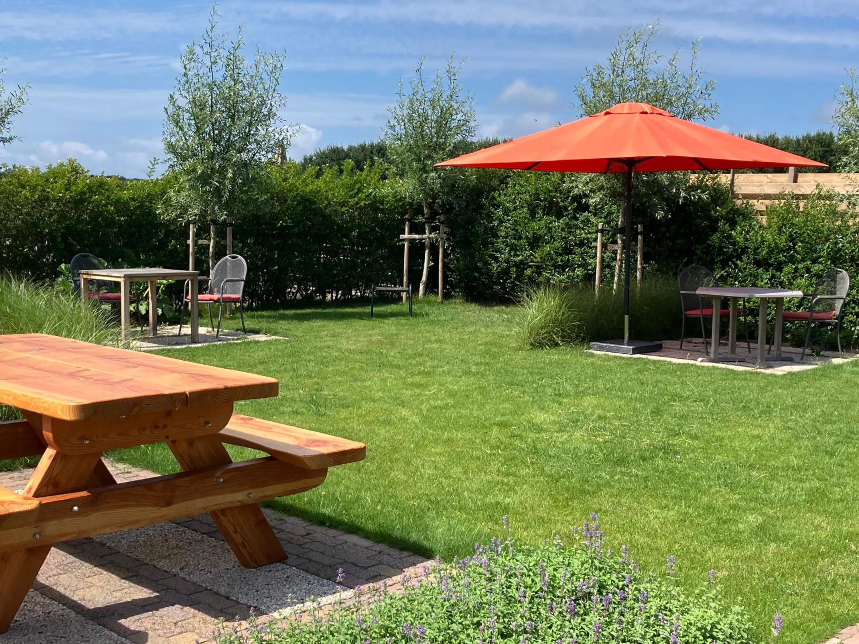 Spring in B&B Stil de Tijd