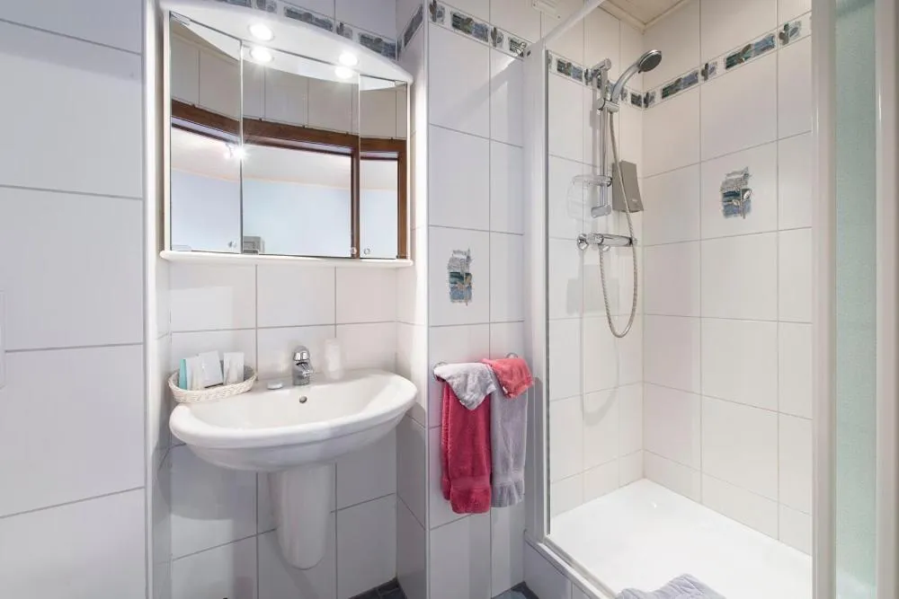 Shower in Appart Hotel Au Pied de Vigne